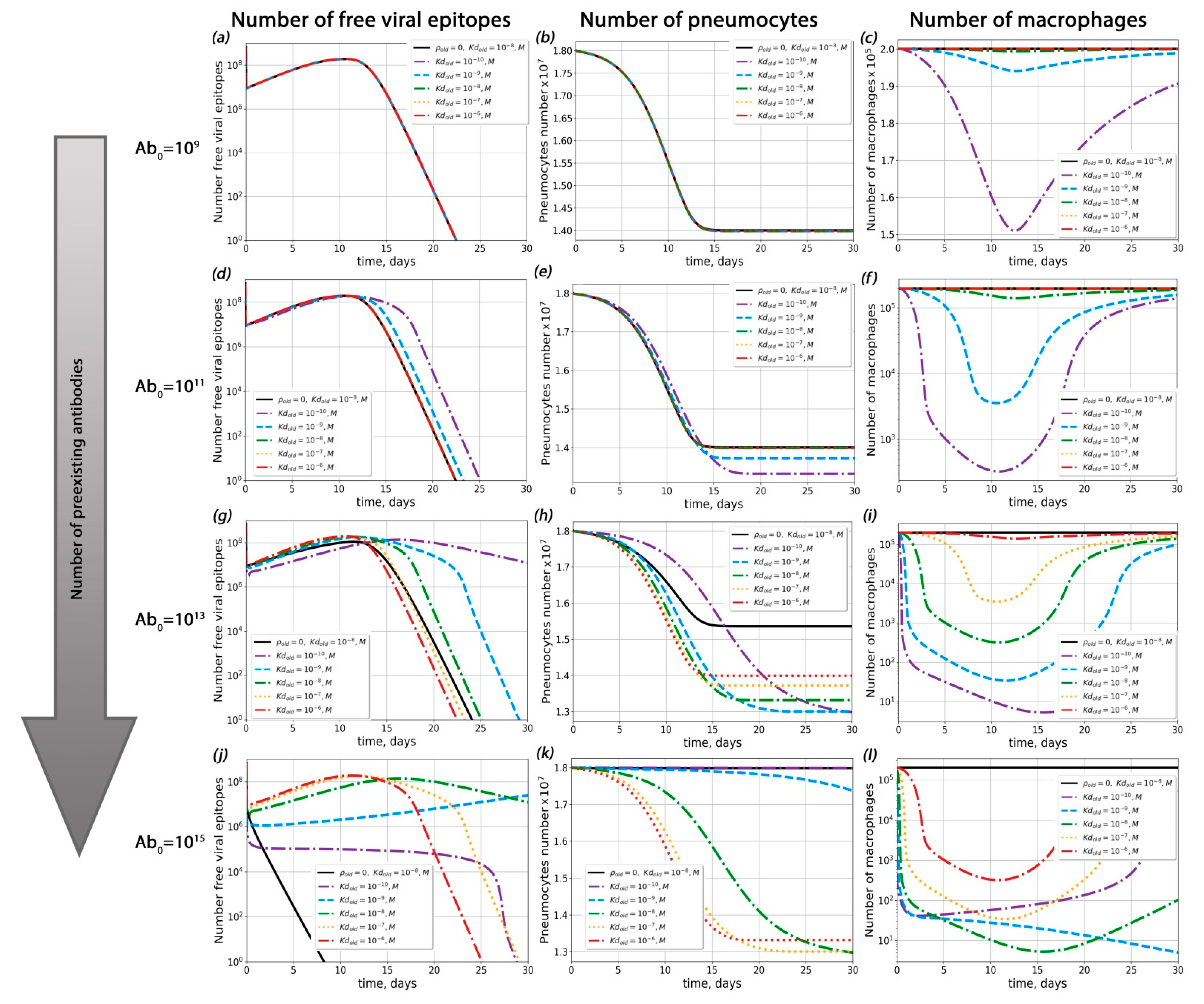 Ijms 23 11364 g005 Ijms 23 11364 g005