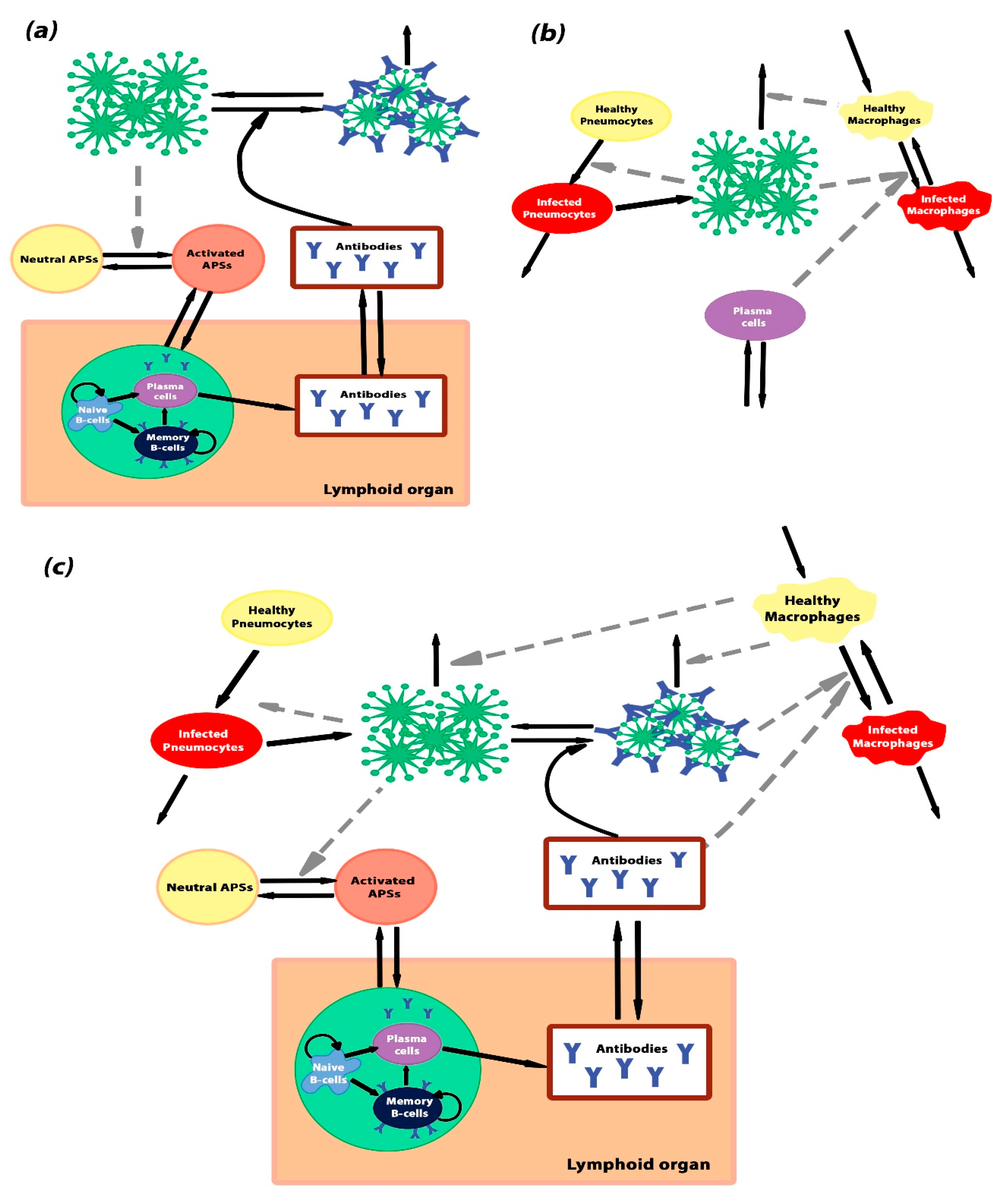 Ijms 23 11364 g006 Ijms 23 11364 g006