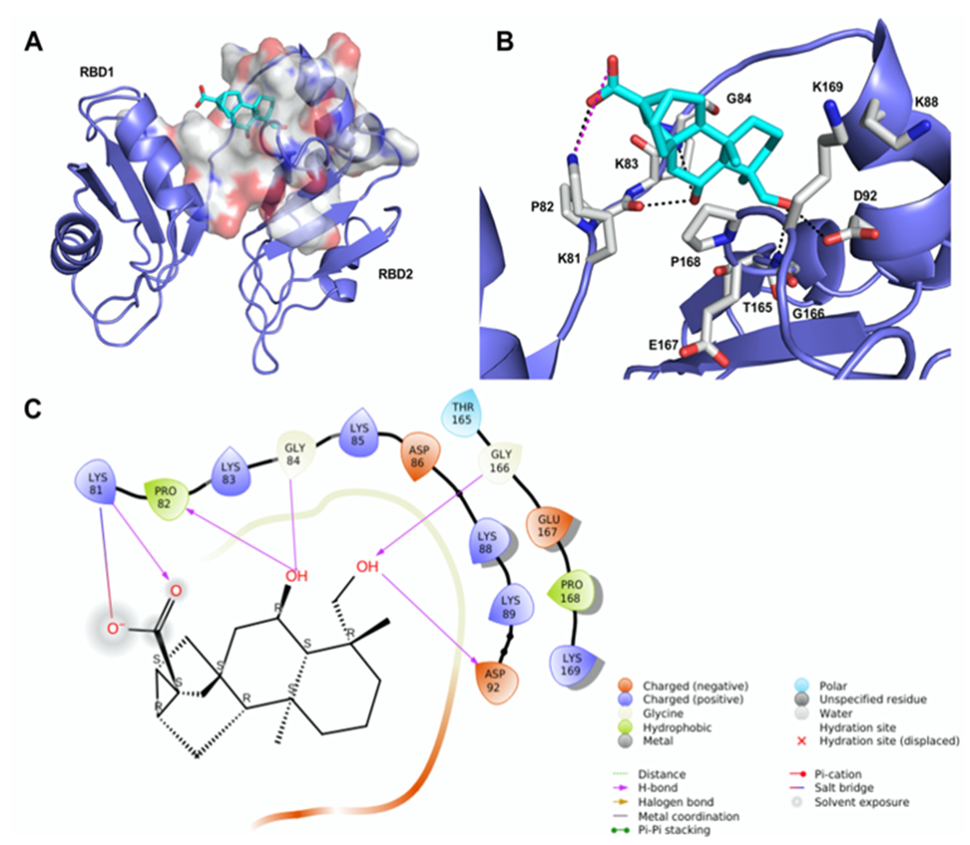 Ijms 23 11390 g002 Ijms 23 11390 g002