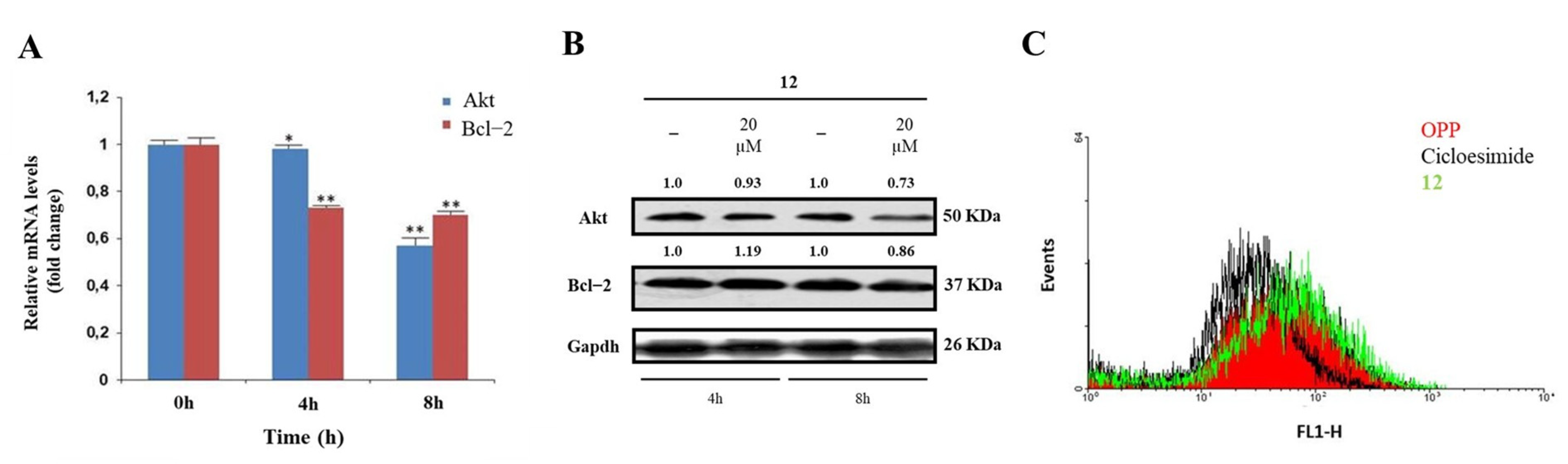 Ijms 23 11390 g003 Ijms 23 11390 g003