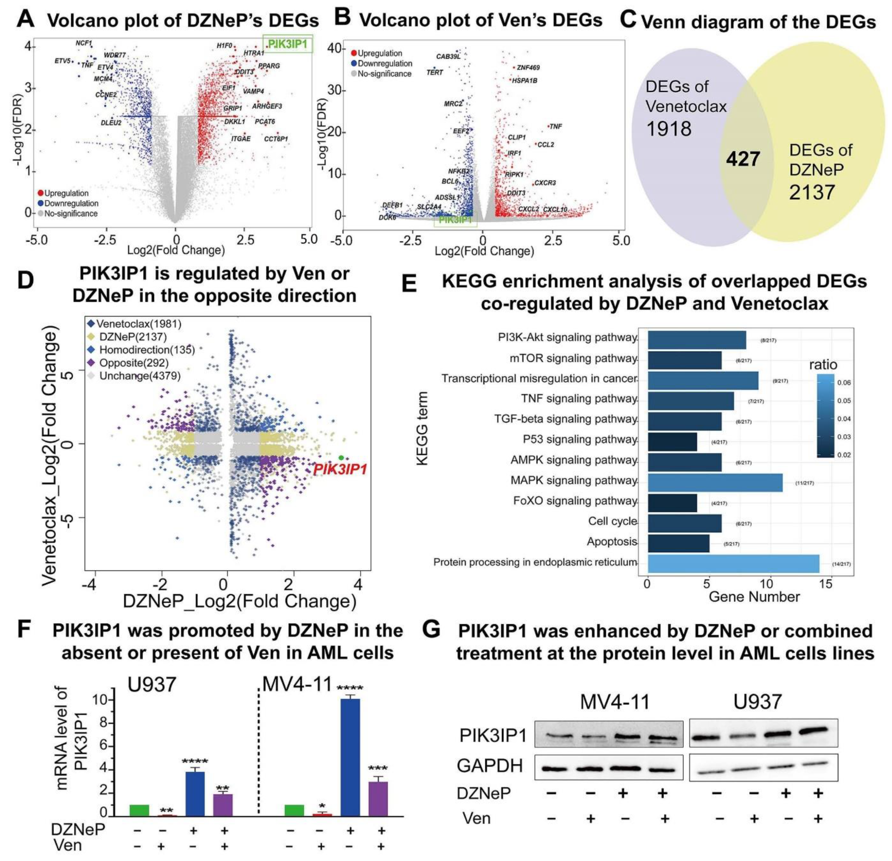 Ijms 23 11393 g003 Ijms 23 11393 g003
