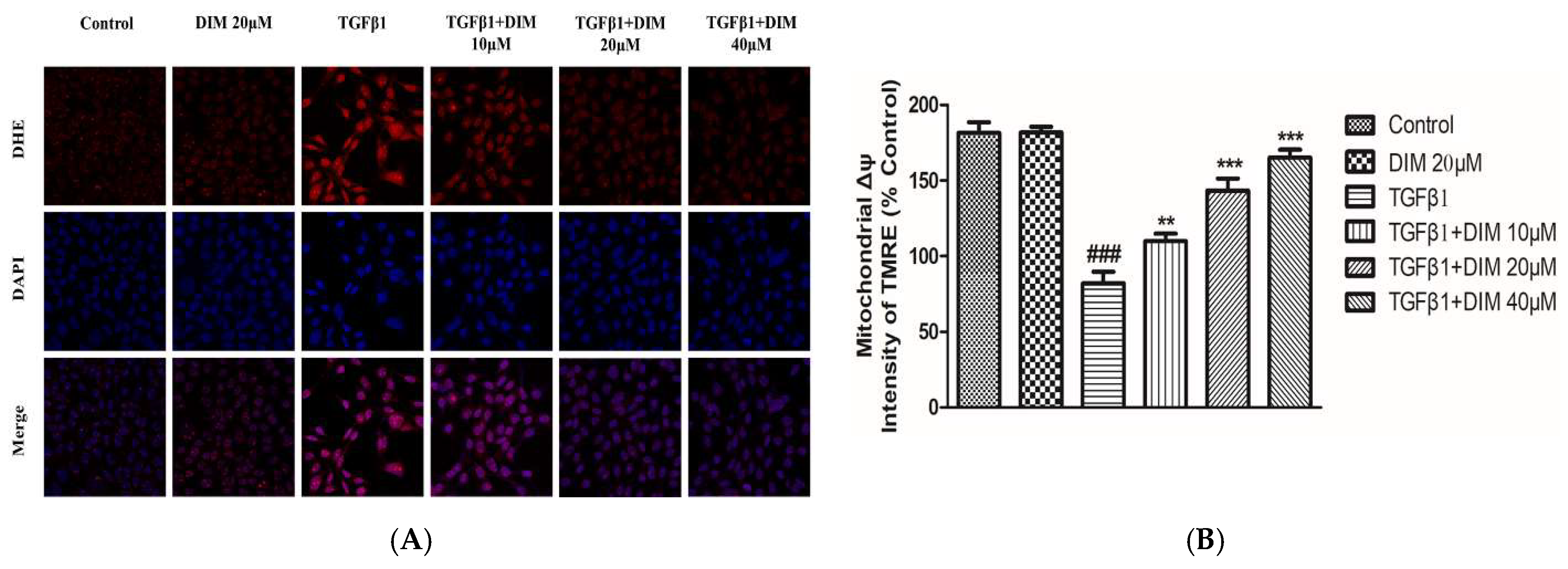 Ijms 23 11407 g003 Ijms 23 11407 g003