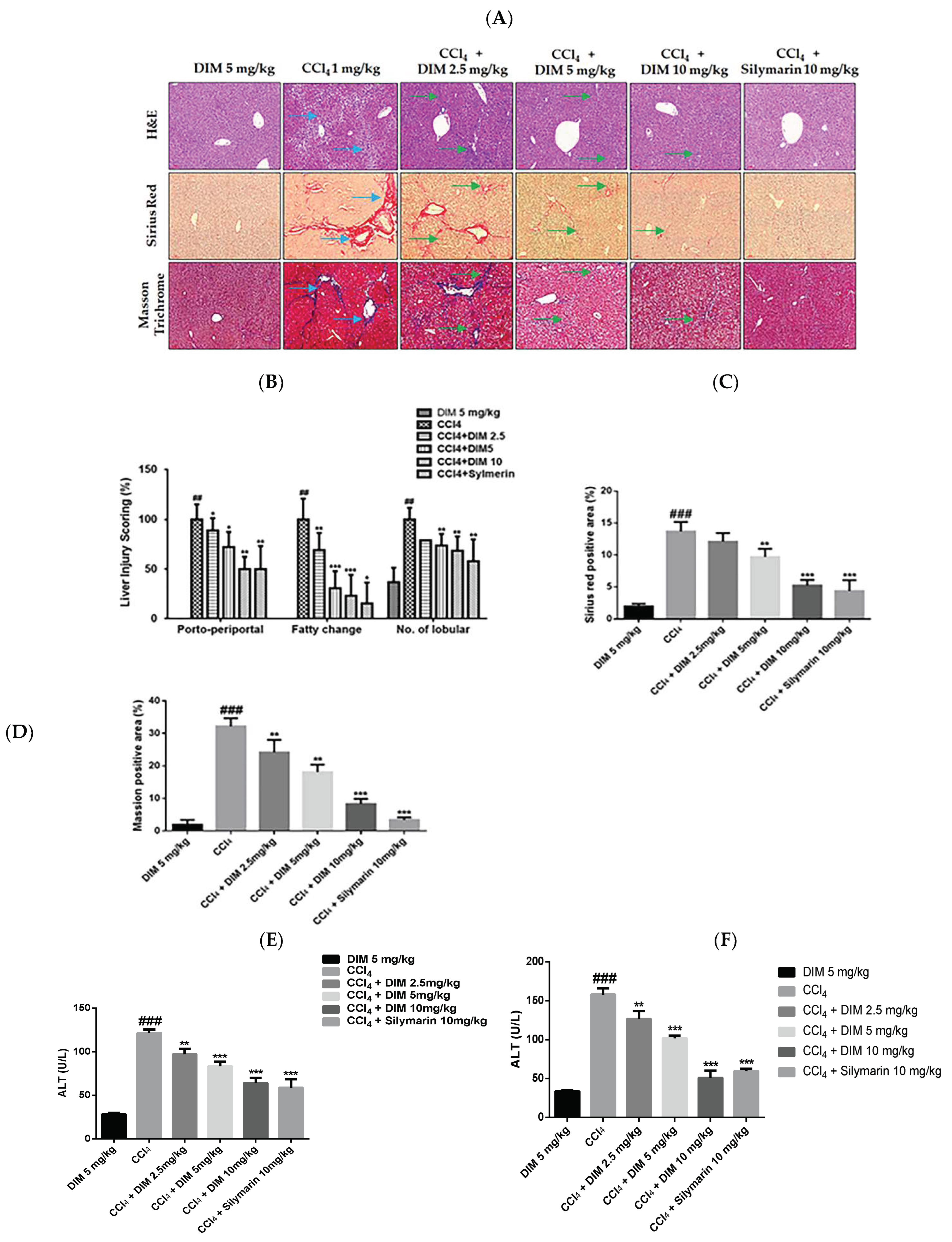 Ijms 23 11407 g007 Ijms 23 11407 g007