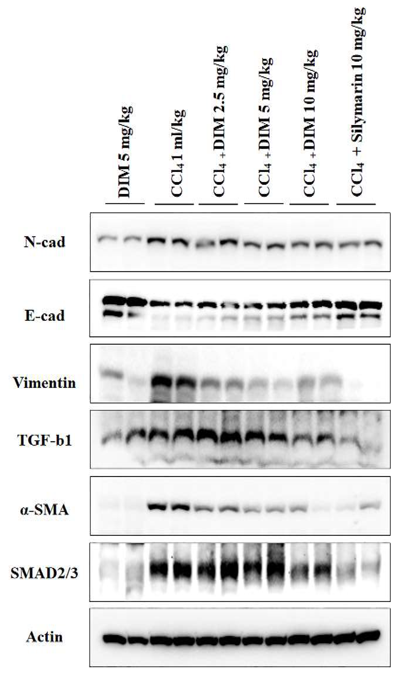 Ijms 23 11407 g008 Ijms 23 11407 g008