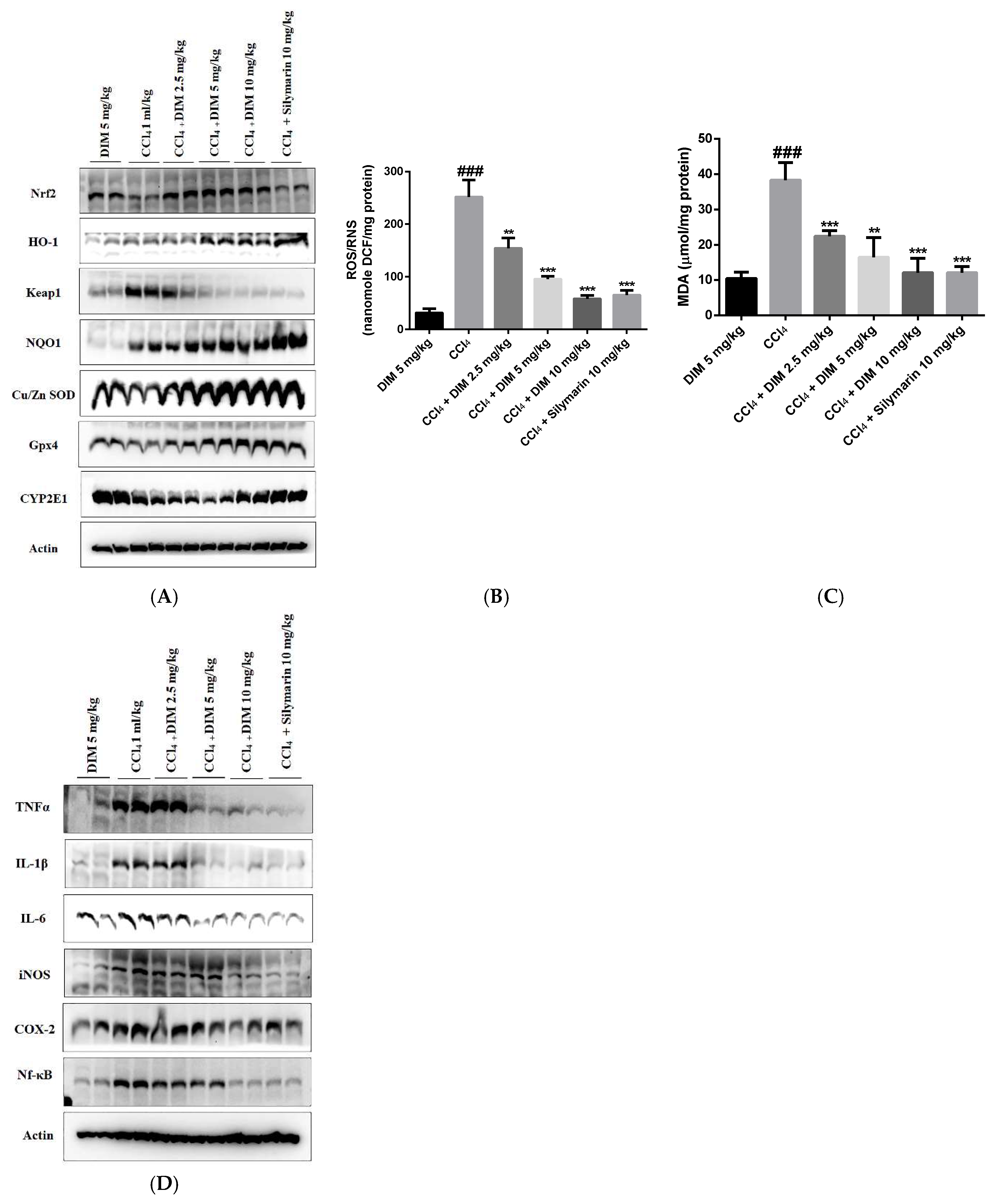 Ijms 23 11407 g009 Ijms 23 11407 g009