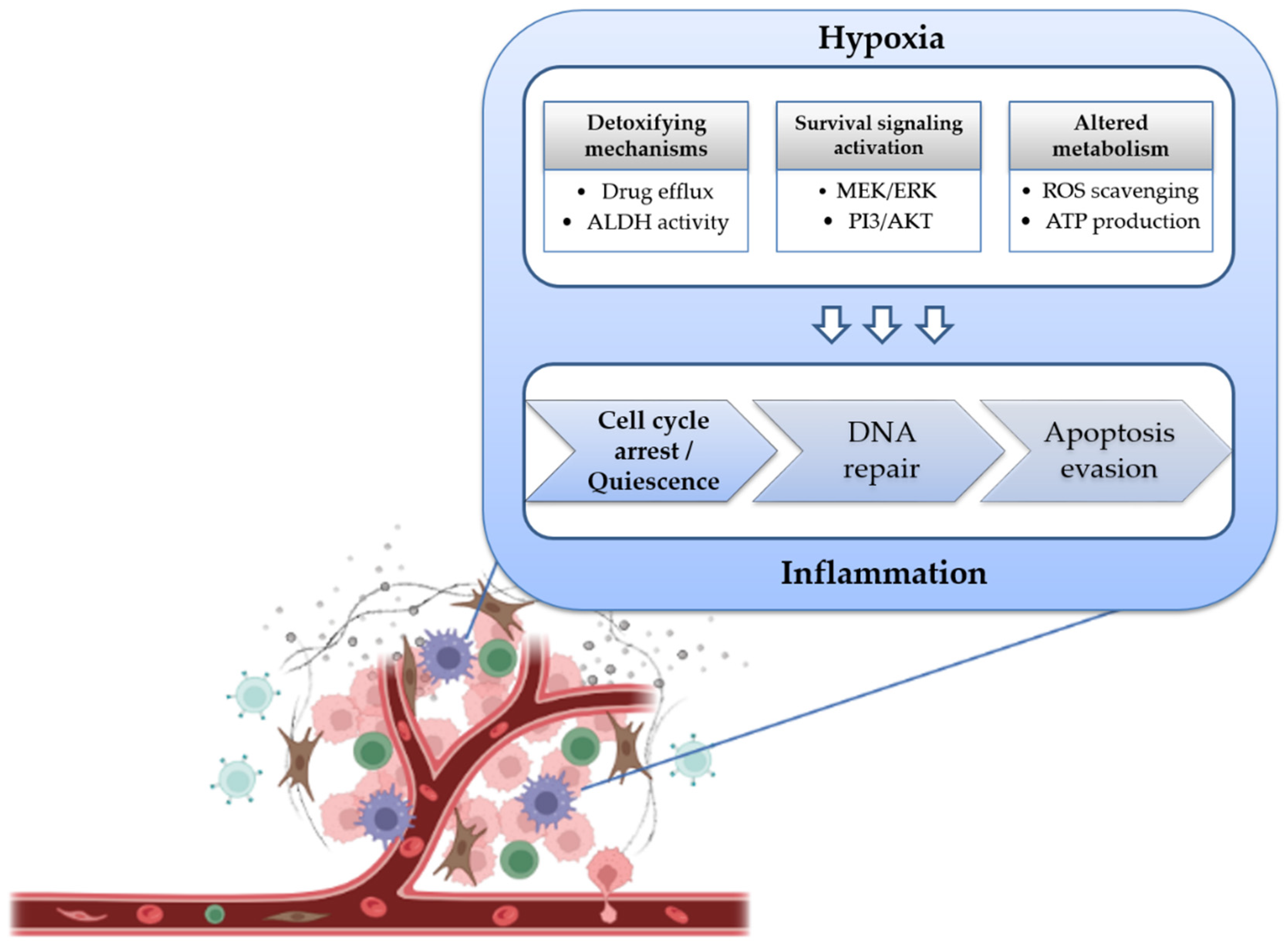 Ijms 23 11416 g003 Ijms 23 11416 g003
