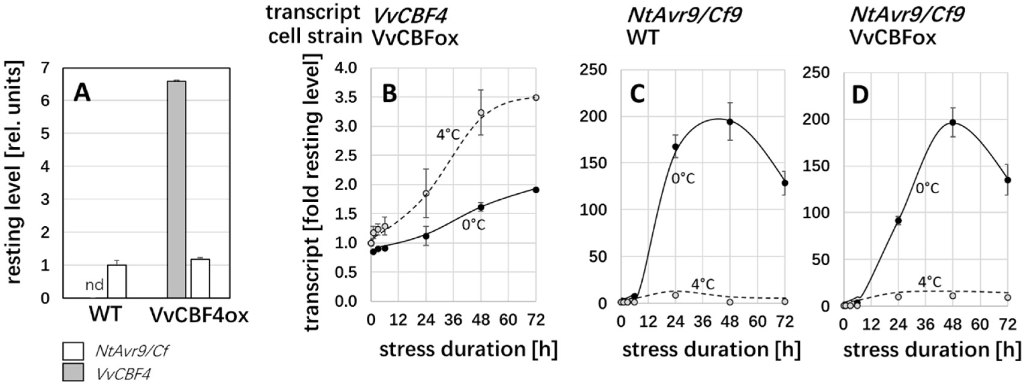 Ijms 23 11417 g003 Ijms 23 11417 g003