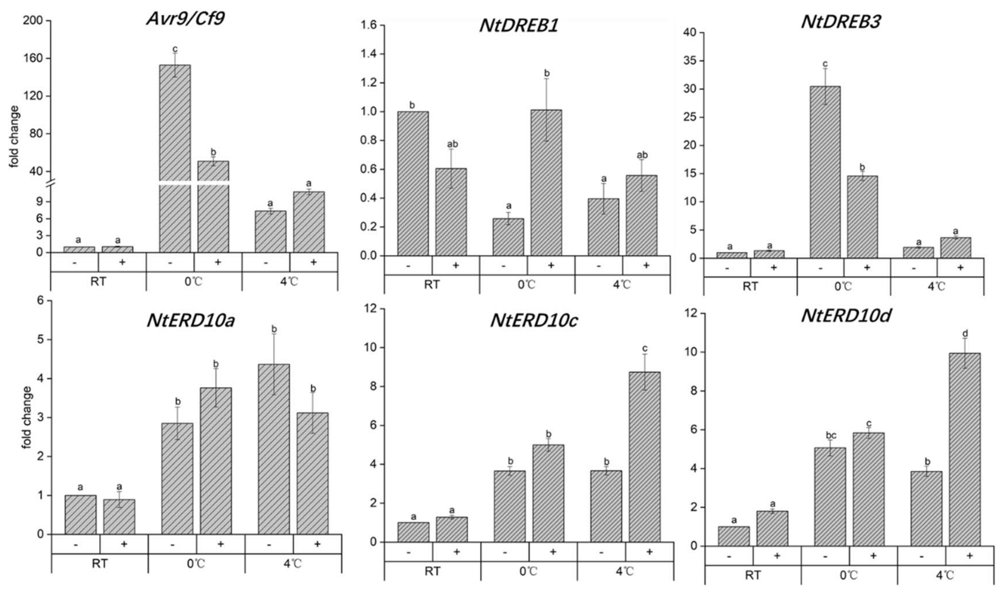 Ijms 23 11417 g005 Ijms 23 11417 g005