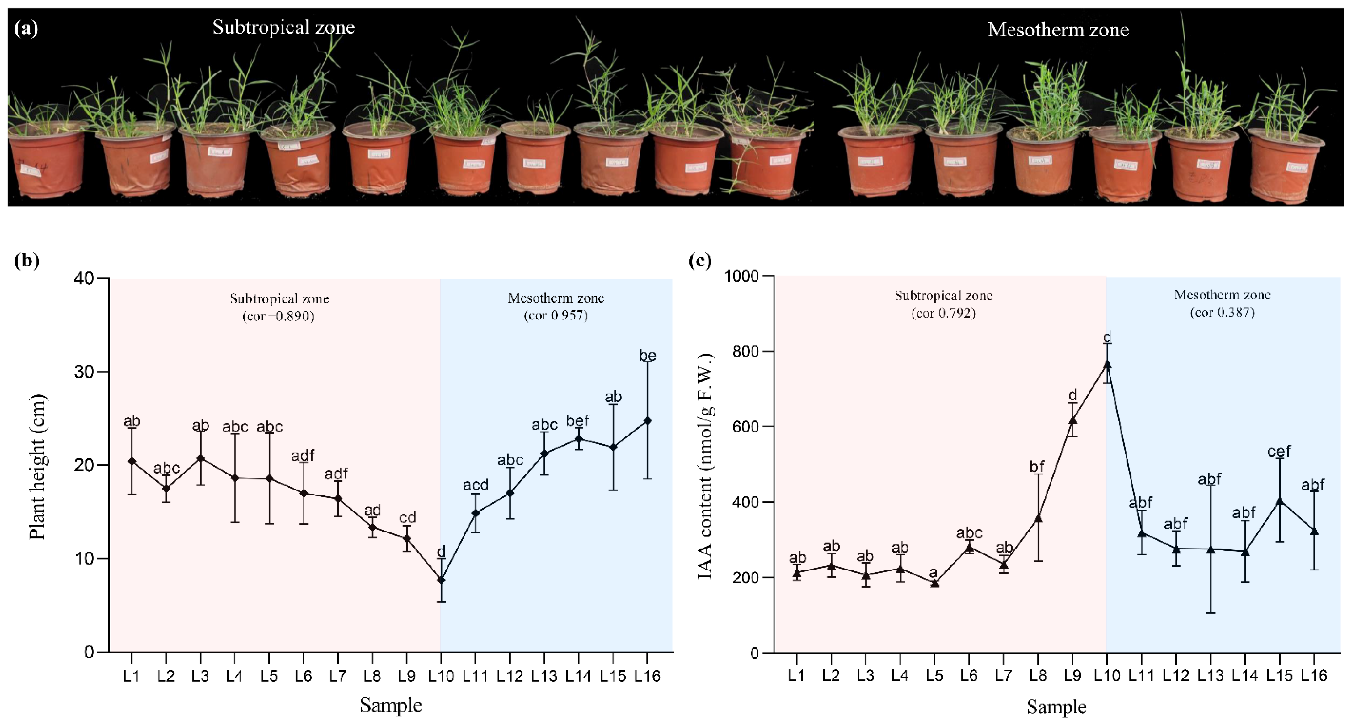 Ijms 23 11432 g001 Ijms 23 11432 g001