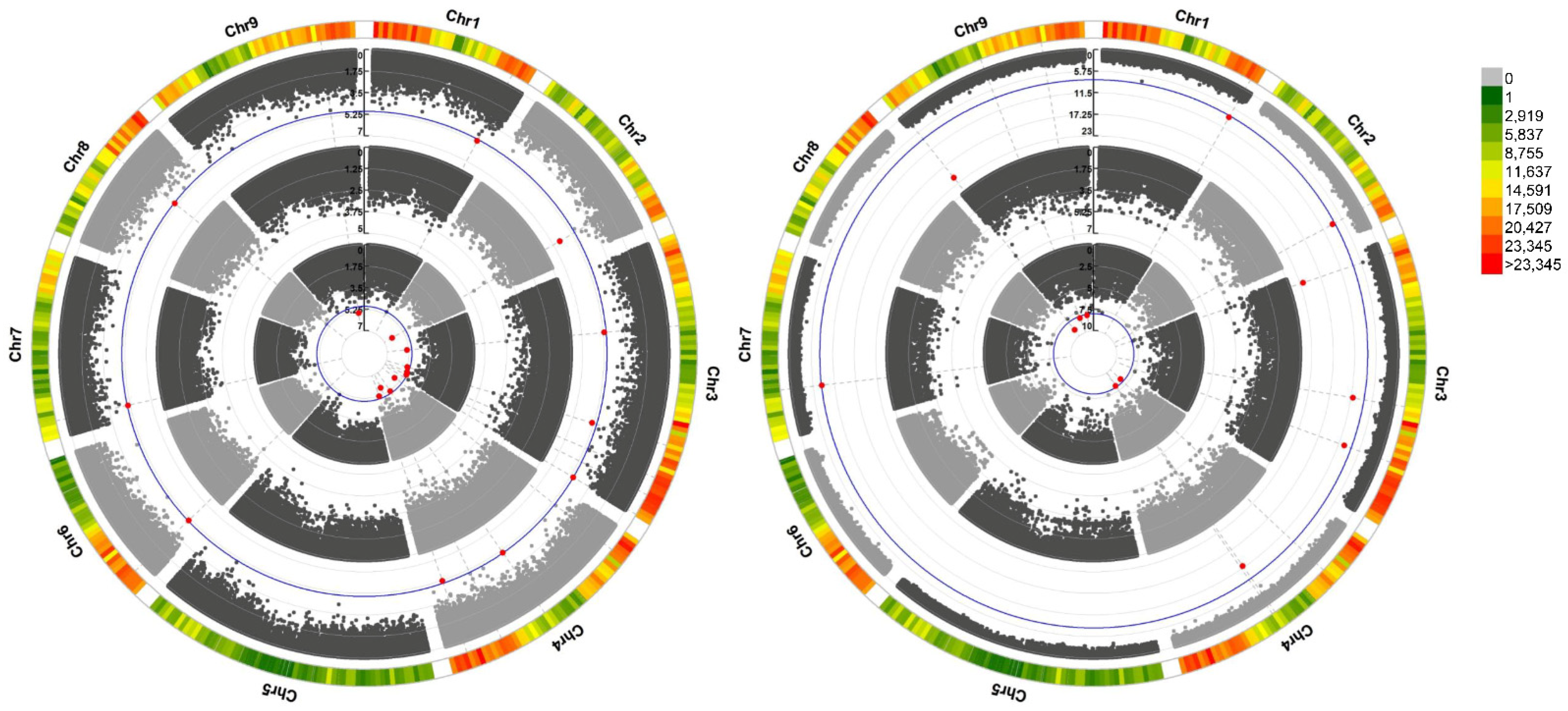 Ijms 23 11432 g002 Ijms 23 11432 g002