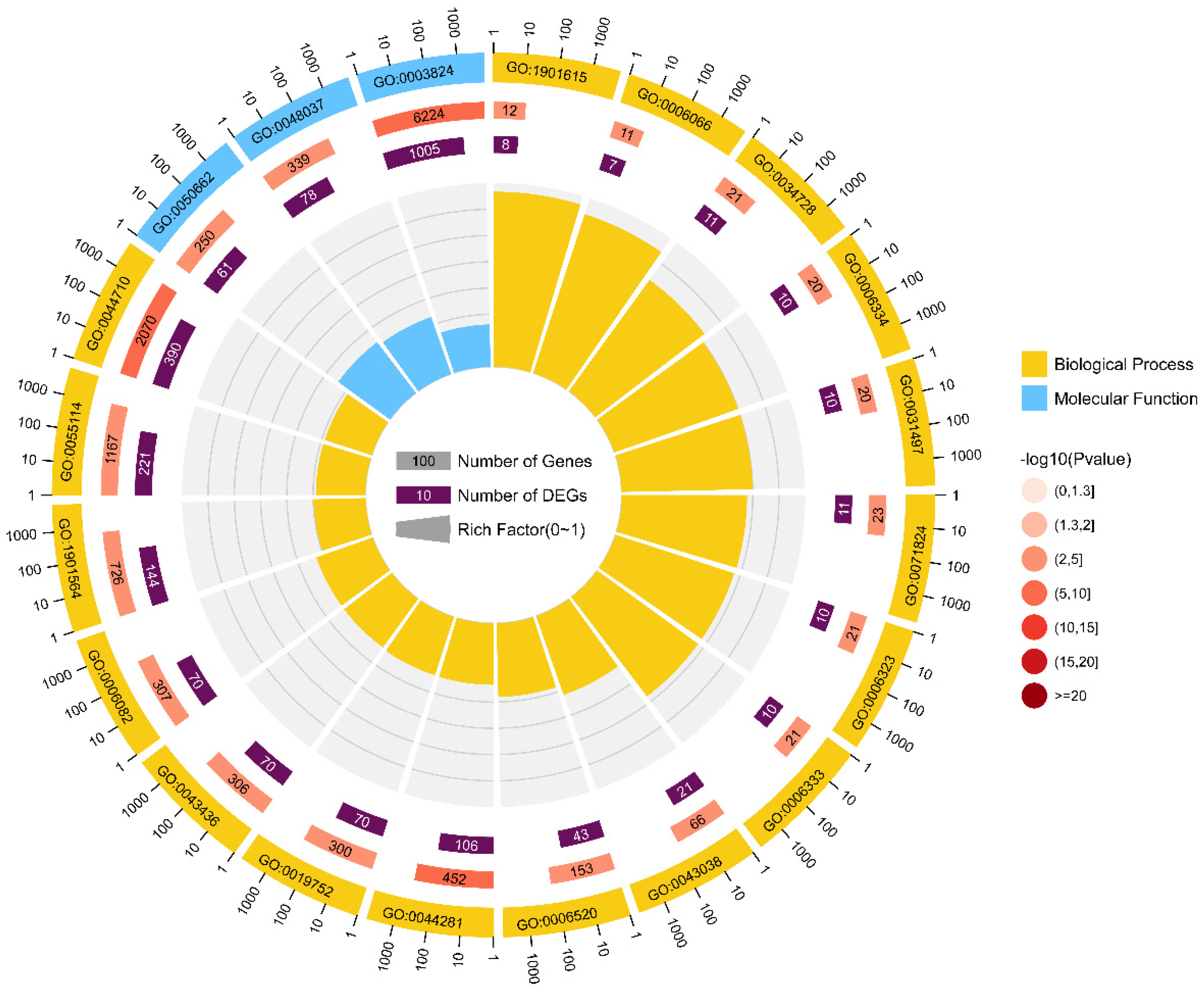 Ijms 23 11432 g003 Ijms 23 11432 g003