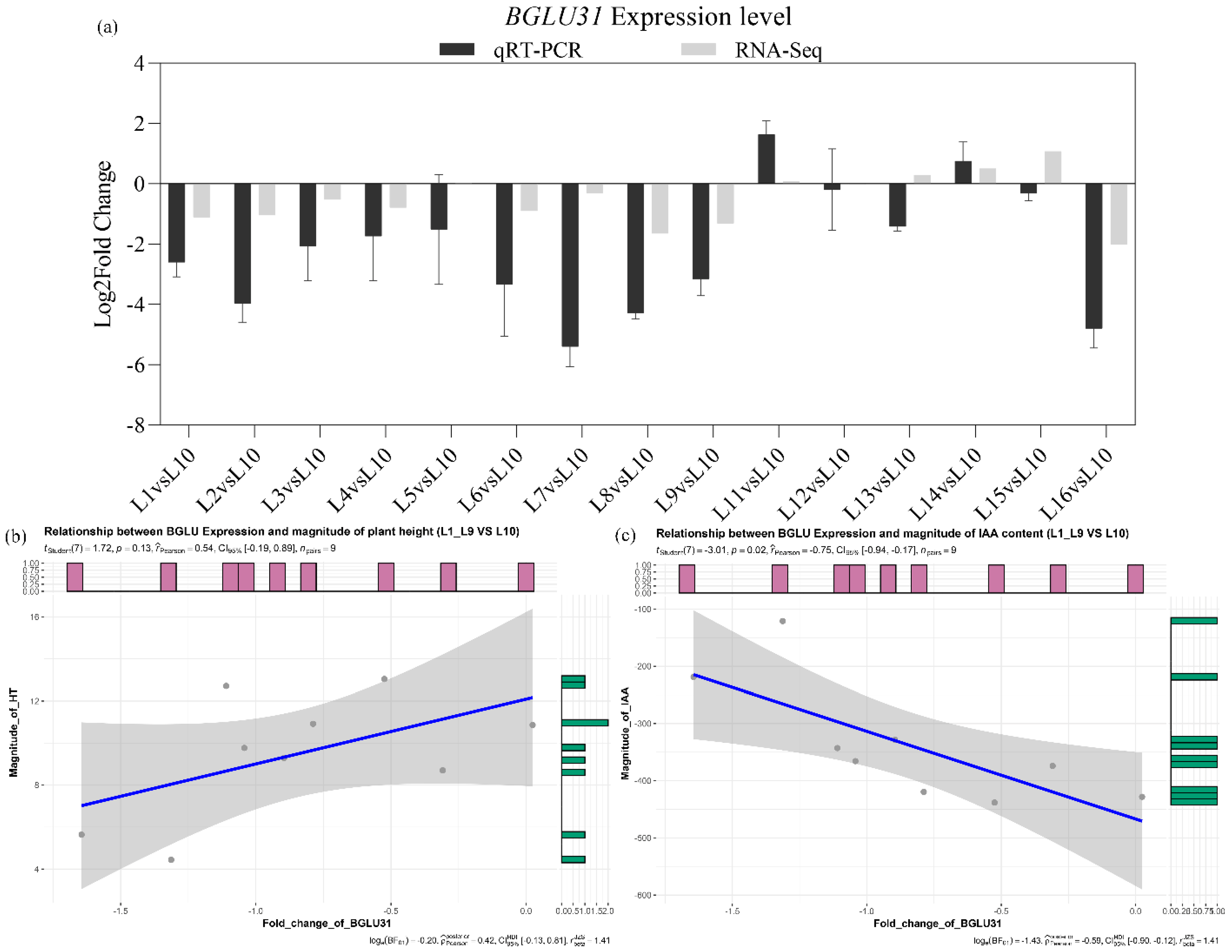 Ijms 23 11432 g005 Ijms 23 11432 g005