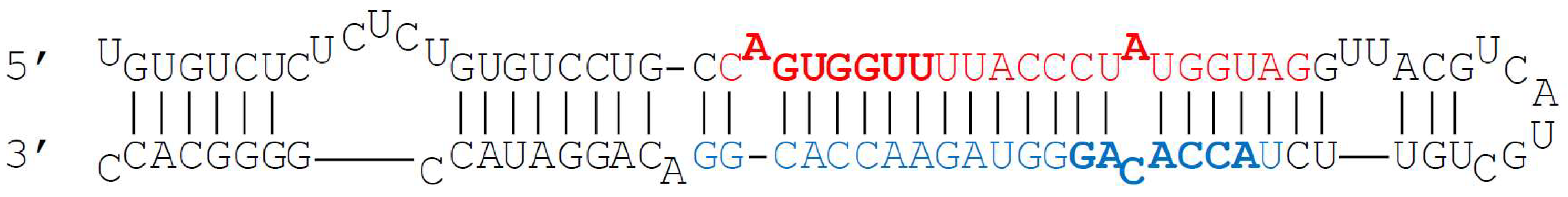 Ijms 23 11439 g001 Ijms 23 11439 g001