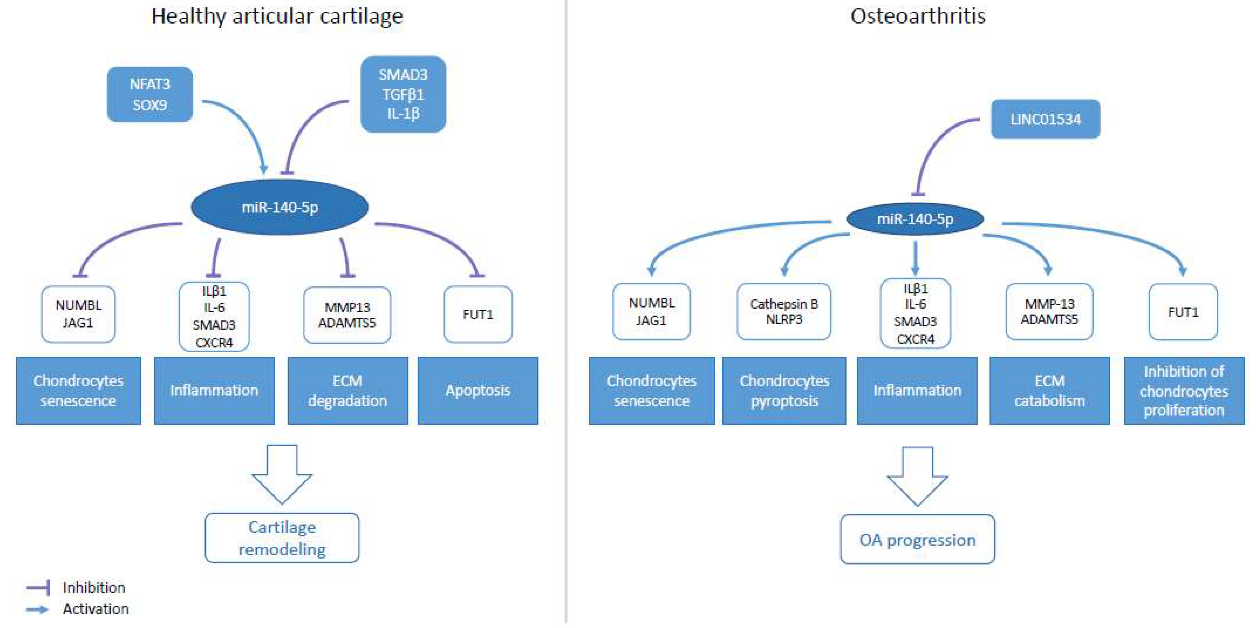 Ijms 23 11439 g002 Ijms 23 11439 g002
