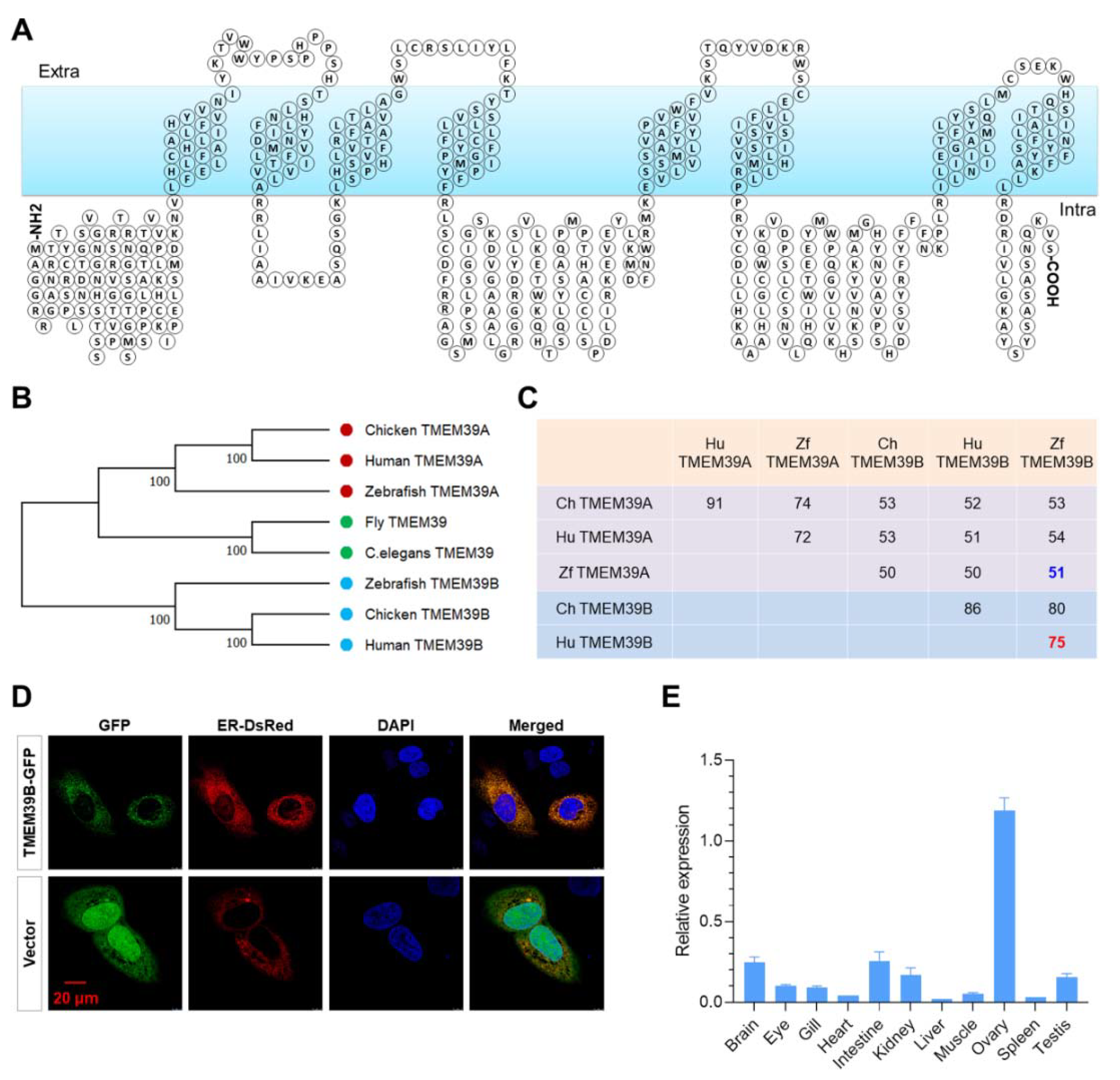Ijms 23 11442 g001 Ijms 23 11442 g001