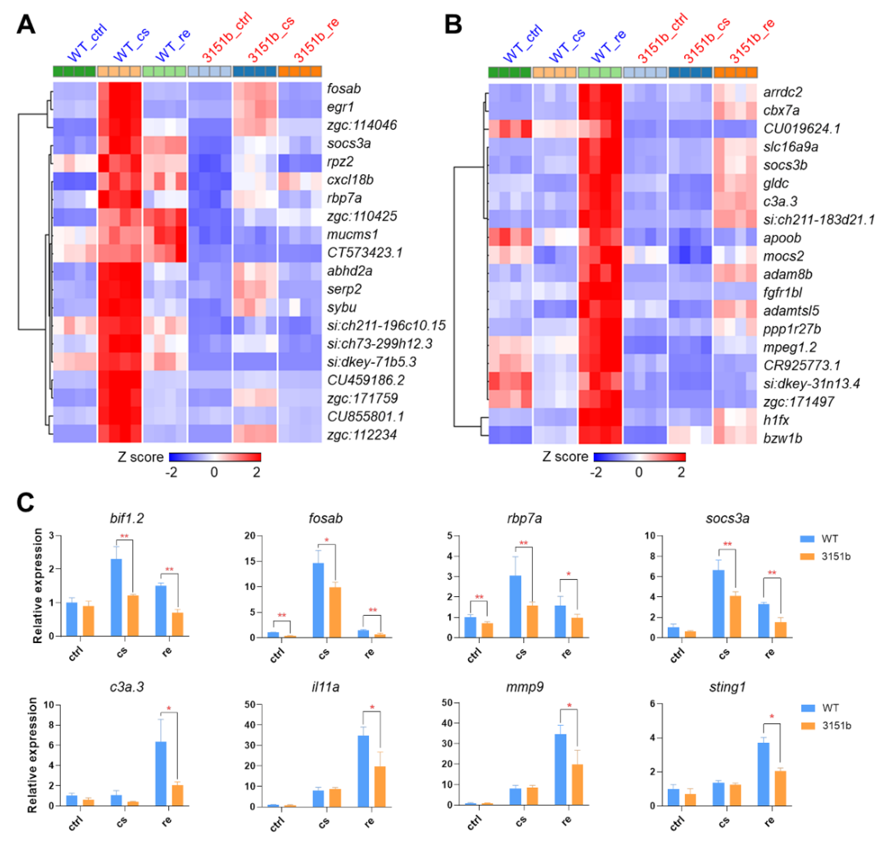 Ijms 23 11442 g005 Ijms 23 11442 g005