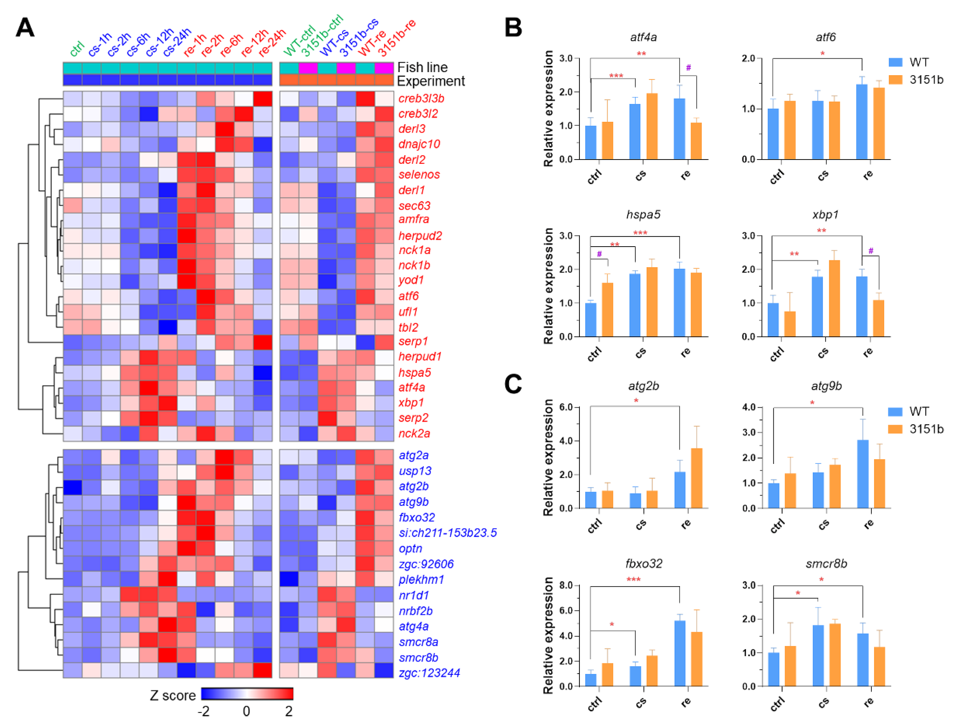 Ijms 23 11442 g007 Ijms 23 11442 g007