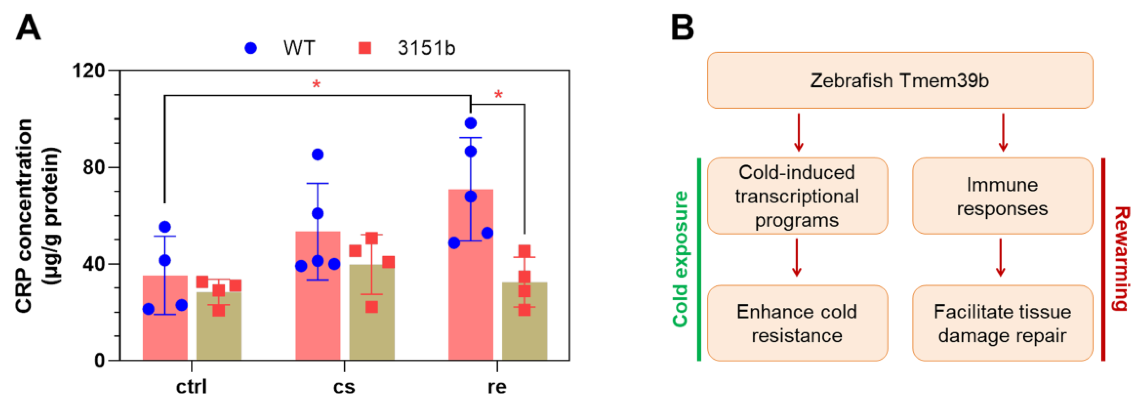 Ijms 23 11442 g009 Ijms 23 11442 g009