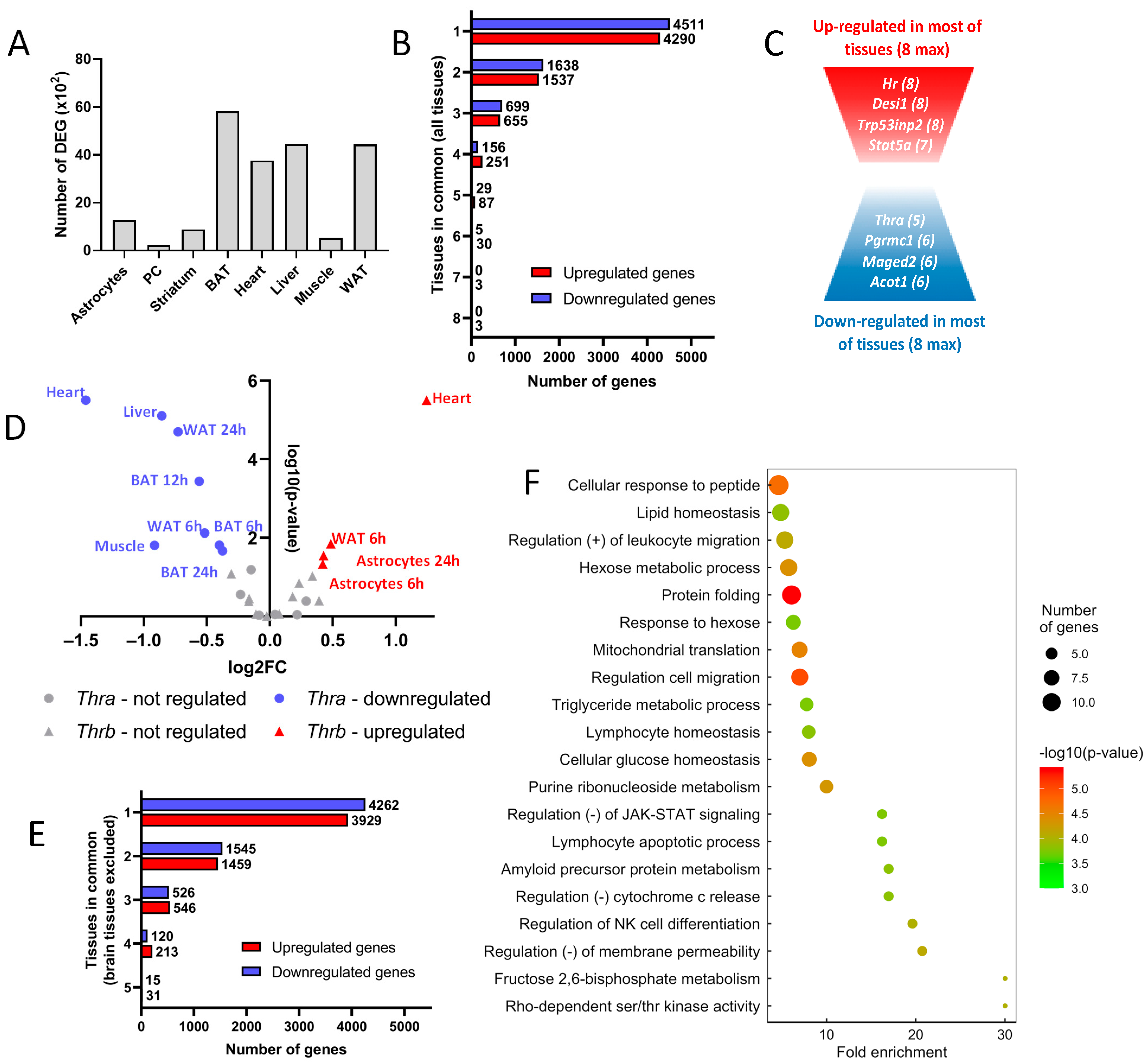 Ijms 23 11444 g001 Ijms 23 11444 g001