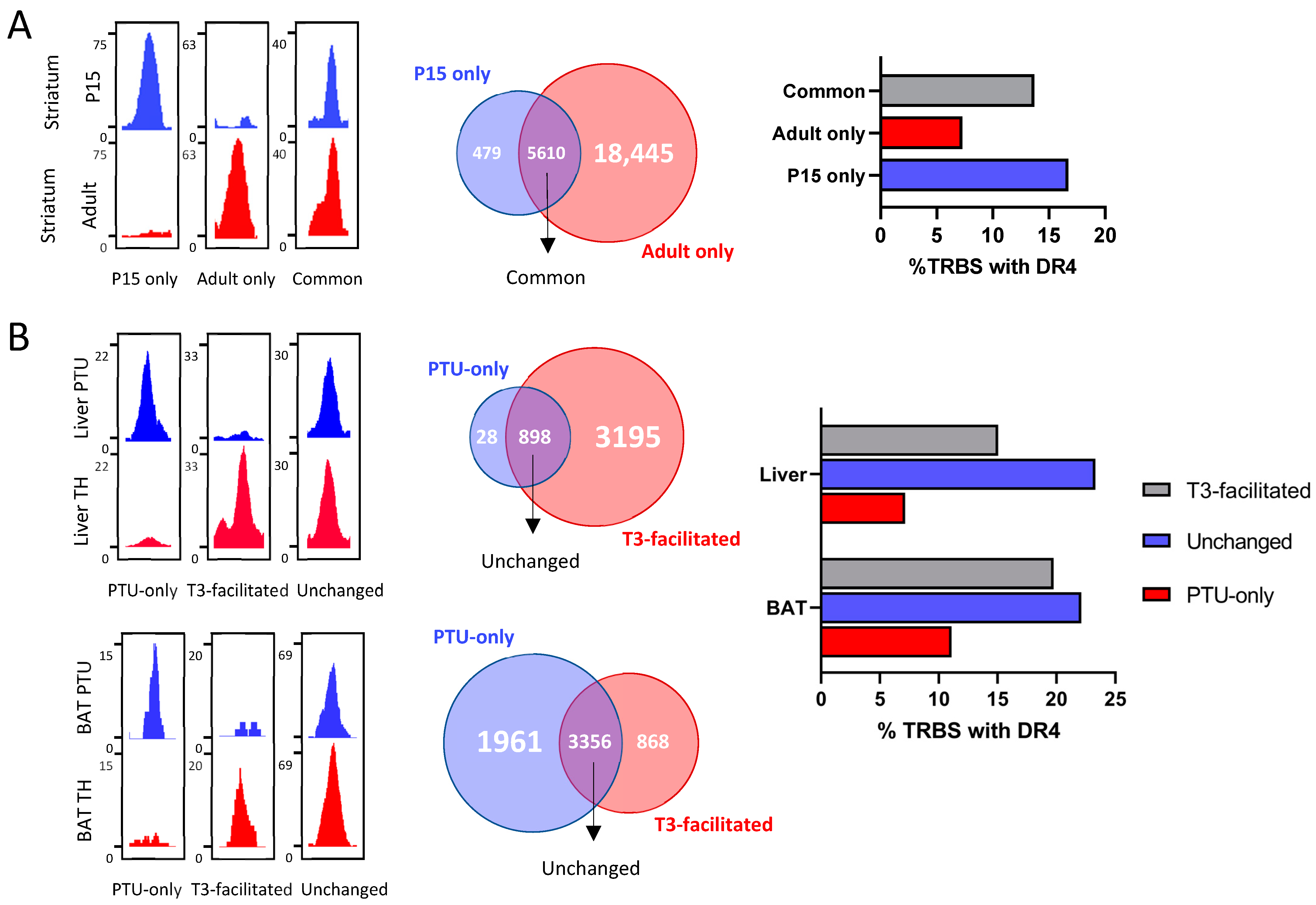 Ijms 23 11444 g003 Ijms 23 11444 g003