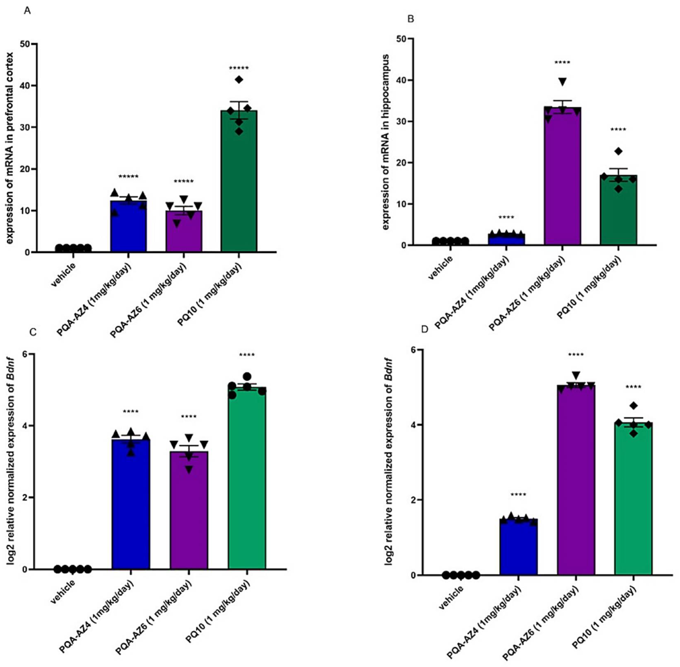 Ijms 23 11452 g002 Ijms 23 11452 g002