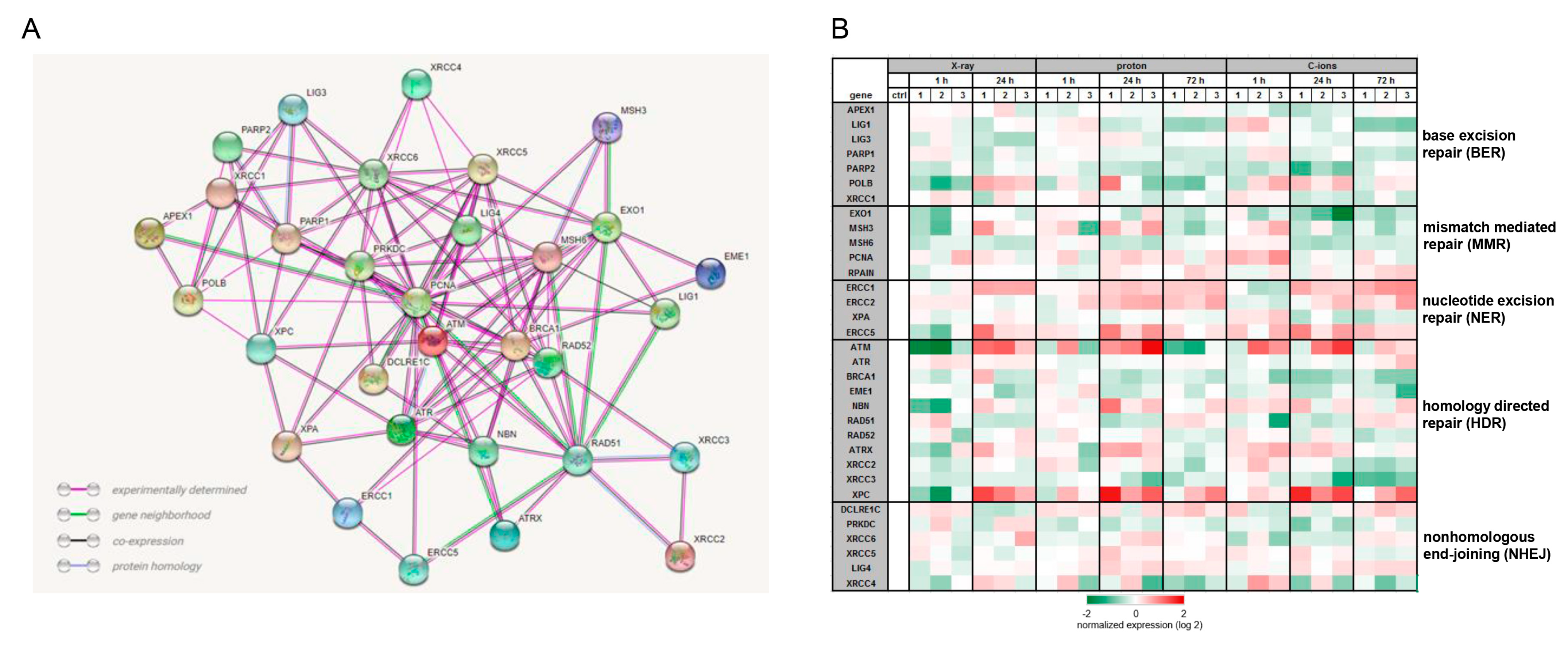 Ijms 23 11464 g005 Ijms 23 11464 g005