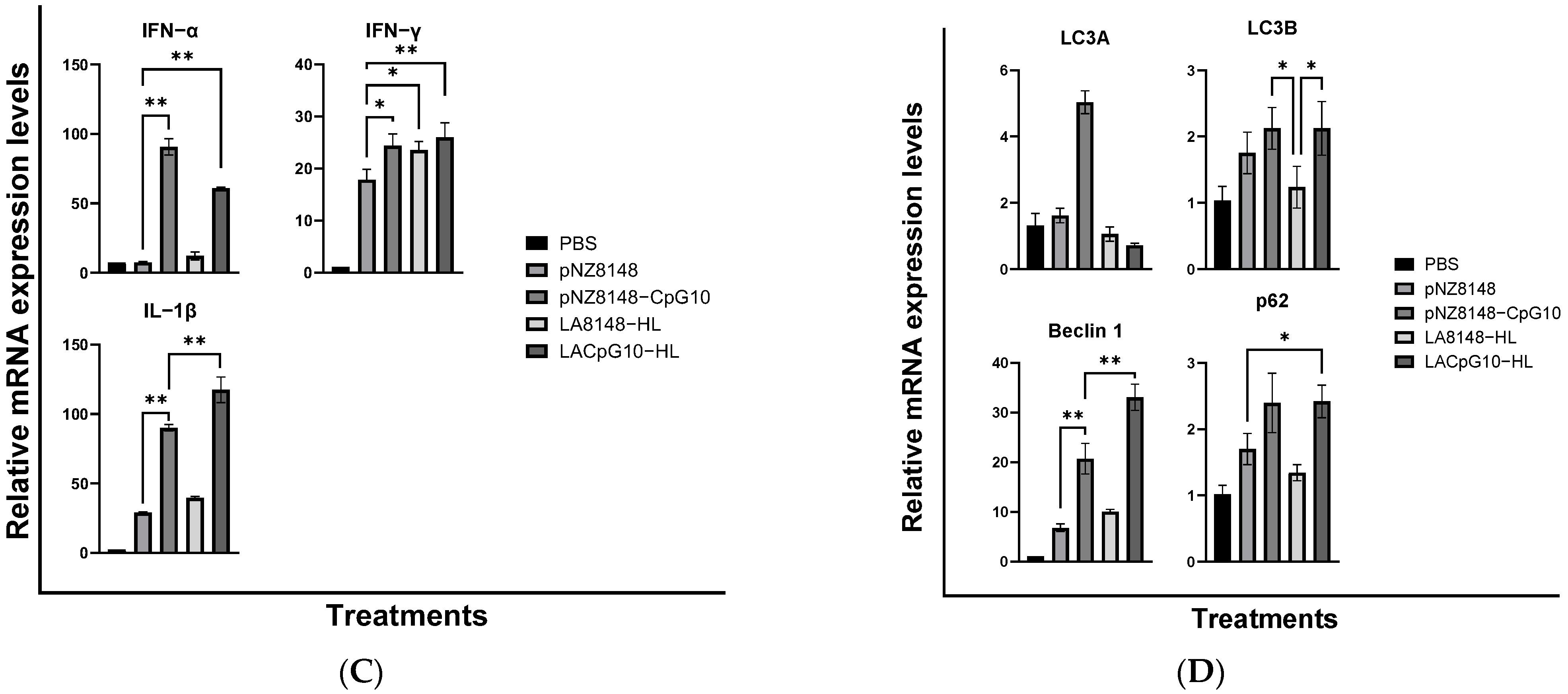 Ijms 23 11466 g001b Ijms 23 11466 g001b
