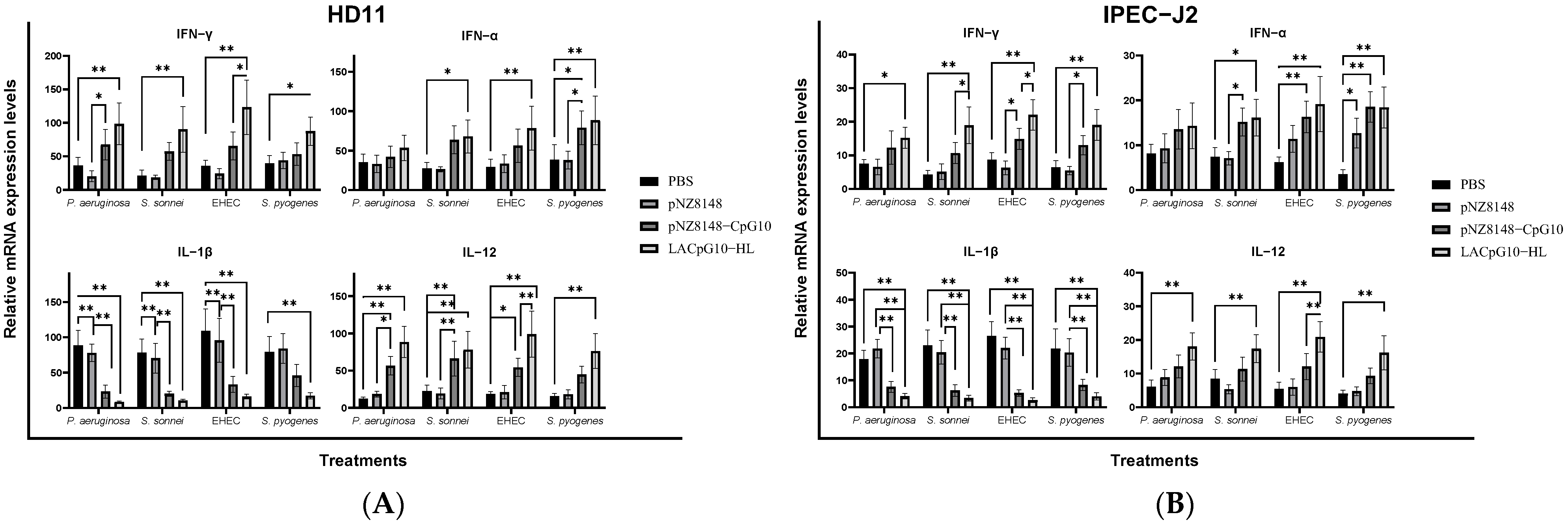 Ijms 23 11466 g005 Ijms 23 11466 g005