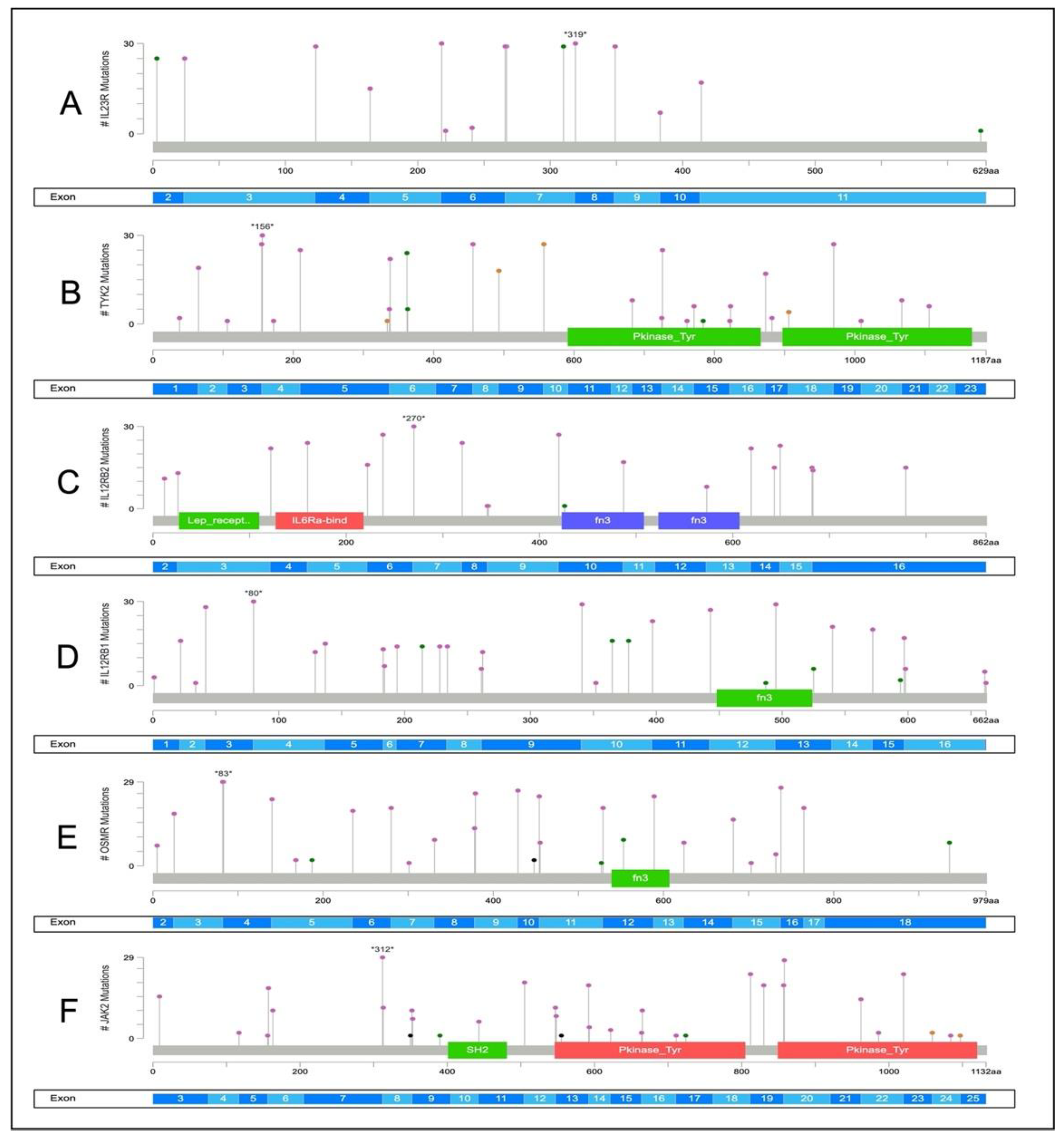 Ijms 23 11472 g003 Ijms 23 11472 g003