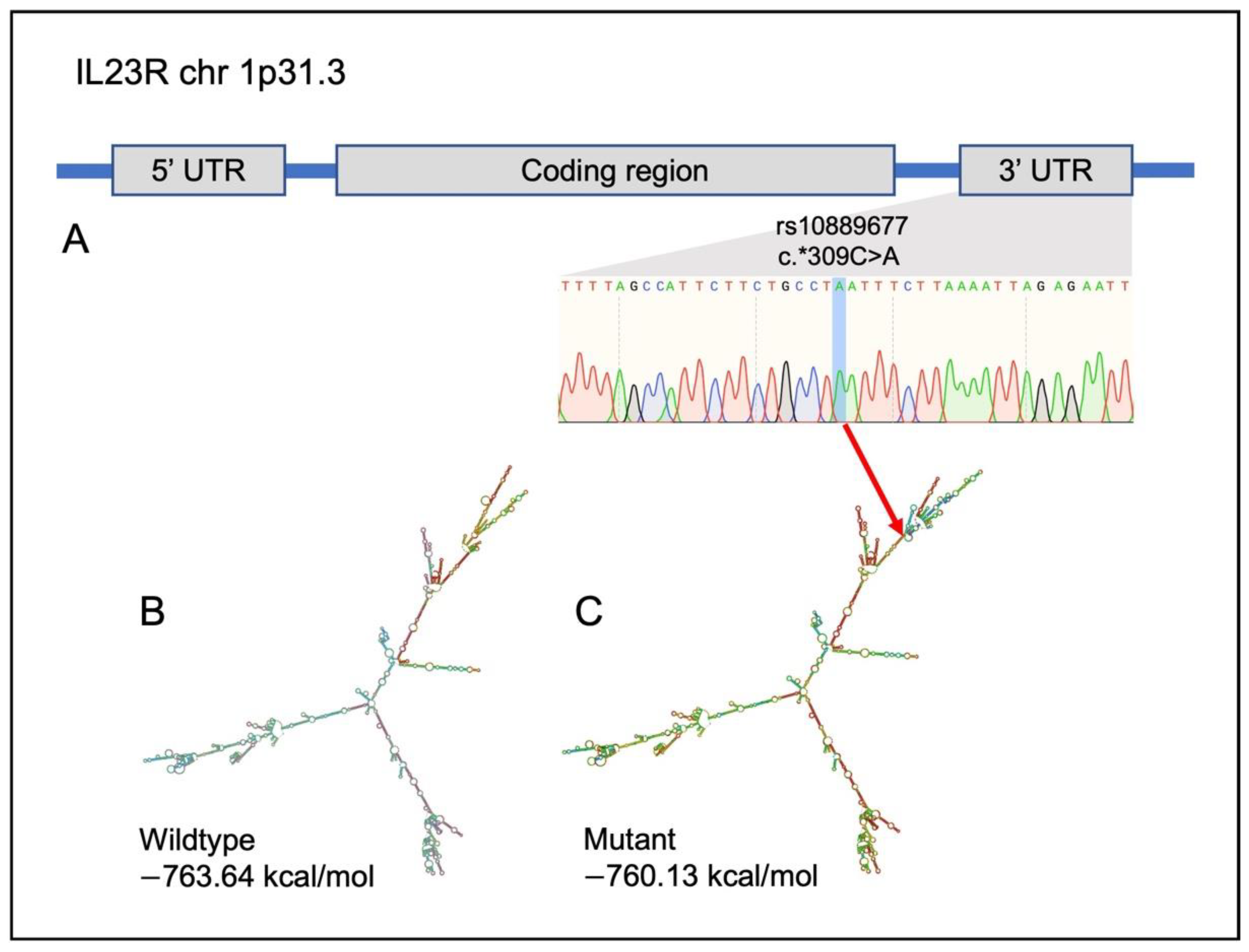 Ijms 23 11472 g005 Ijms 23 11472 g005