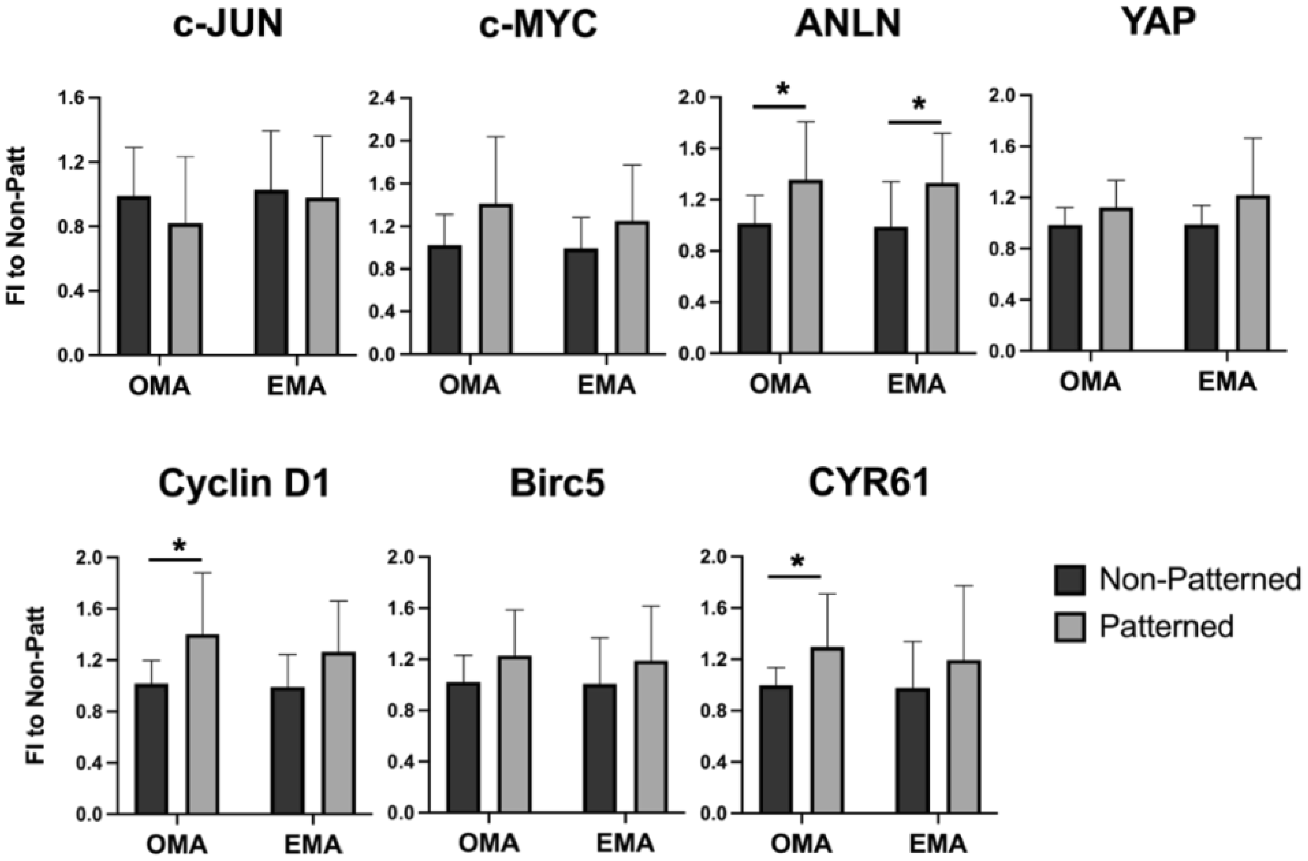 Ijms 23 11473 g005 Ijms 23 11473 g005