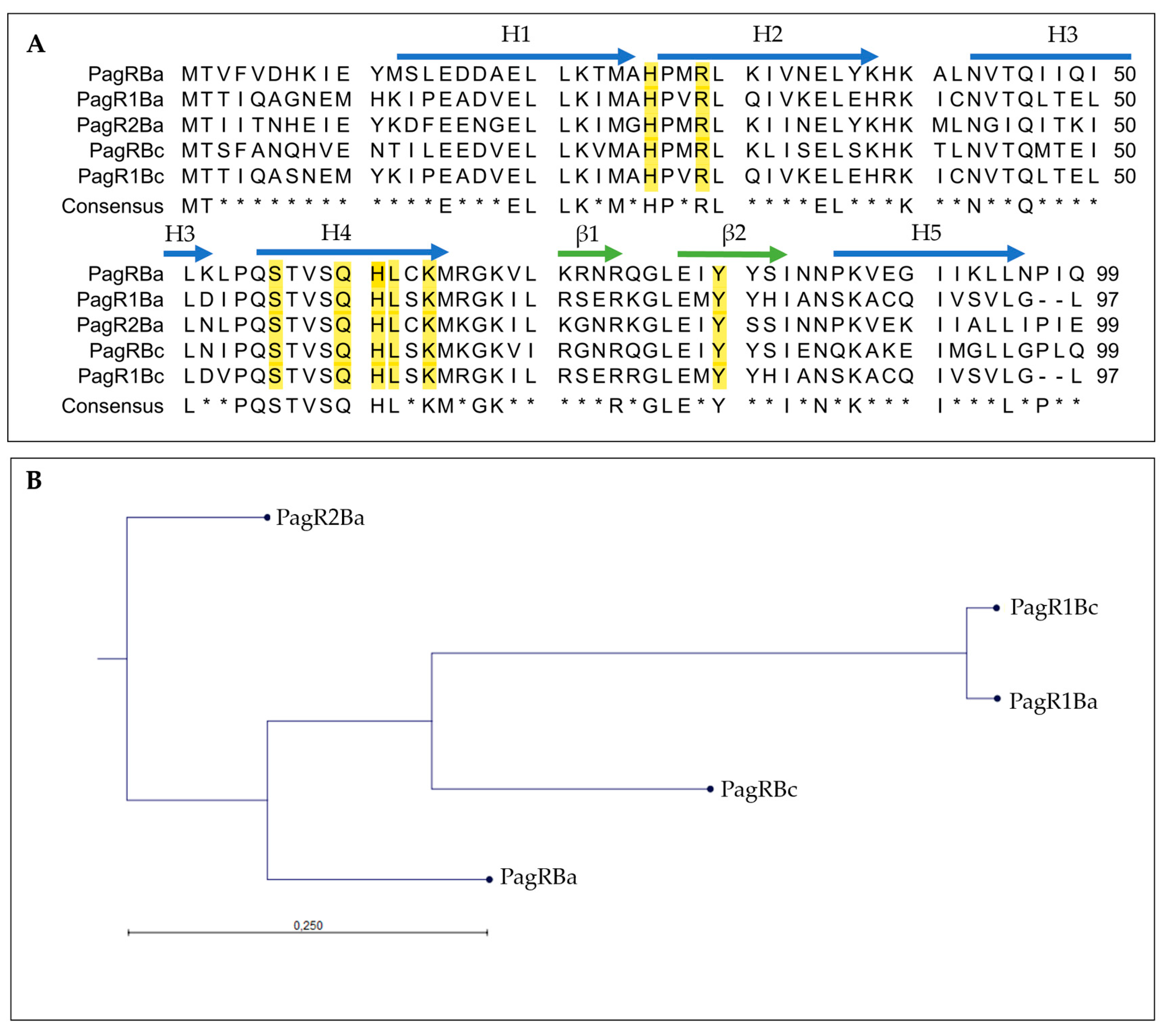 Ijms 23 11479 g001 Ijms 23 11479 g001