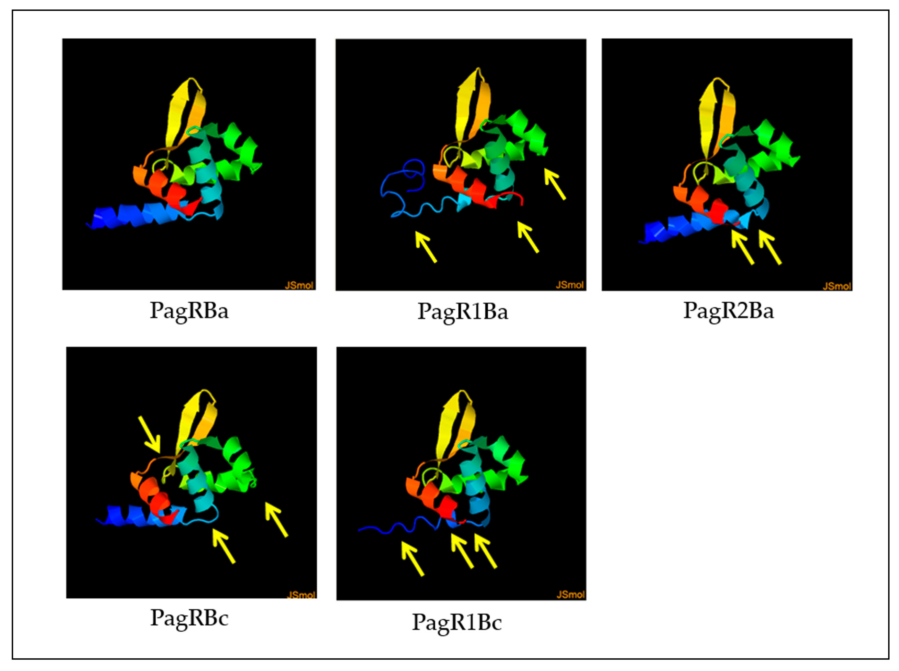 Ijms 23 11479 g002 Ijms 23 11479 g002