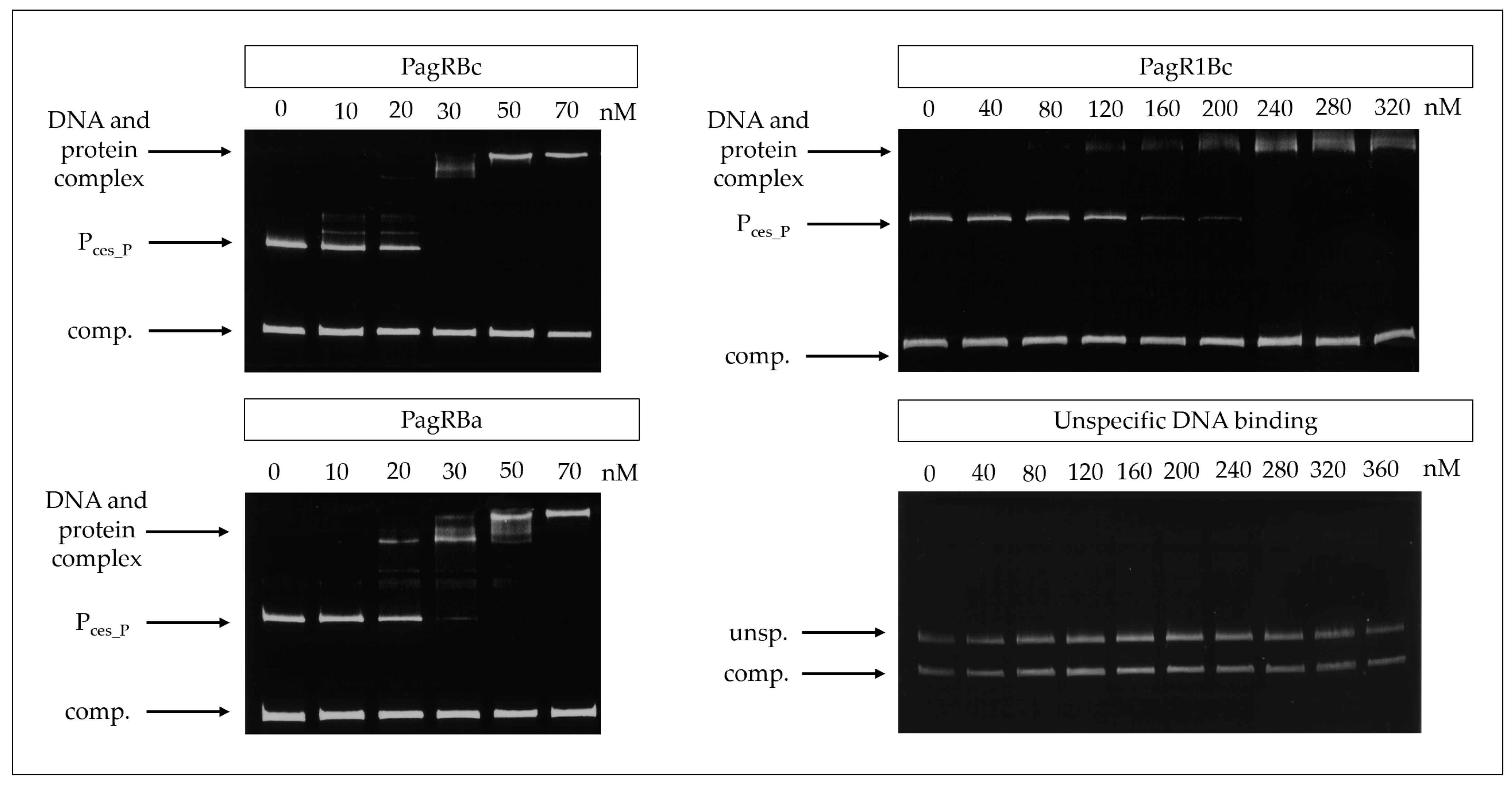 Ijms 23 11479 g003 Ijms 23 11479 g003