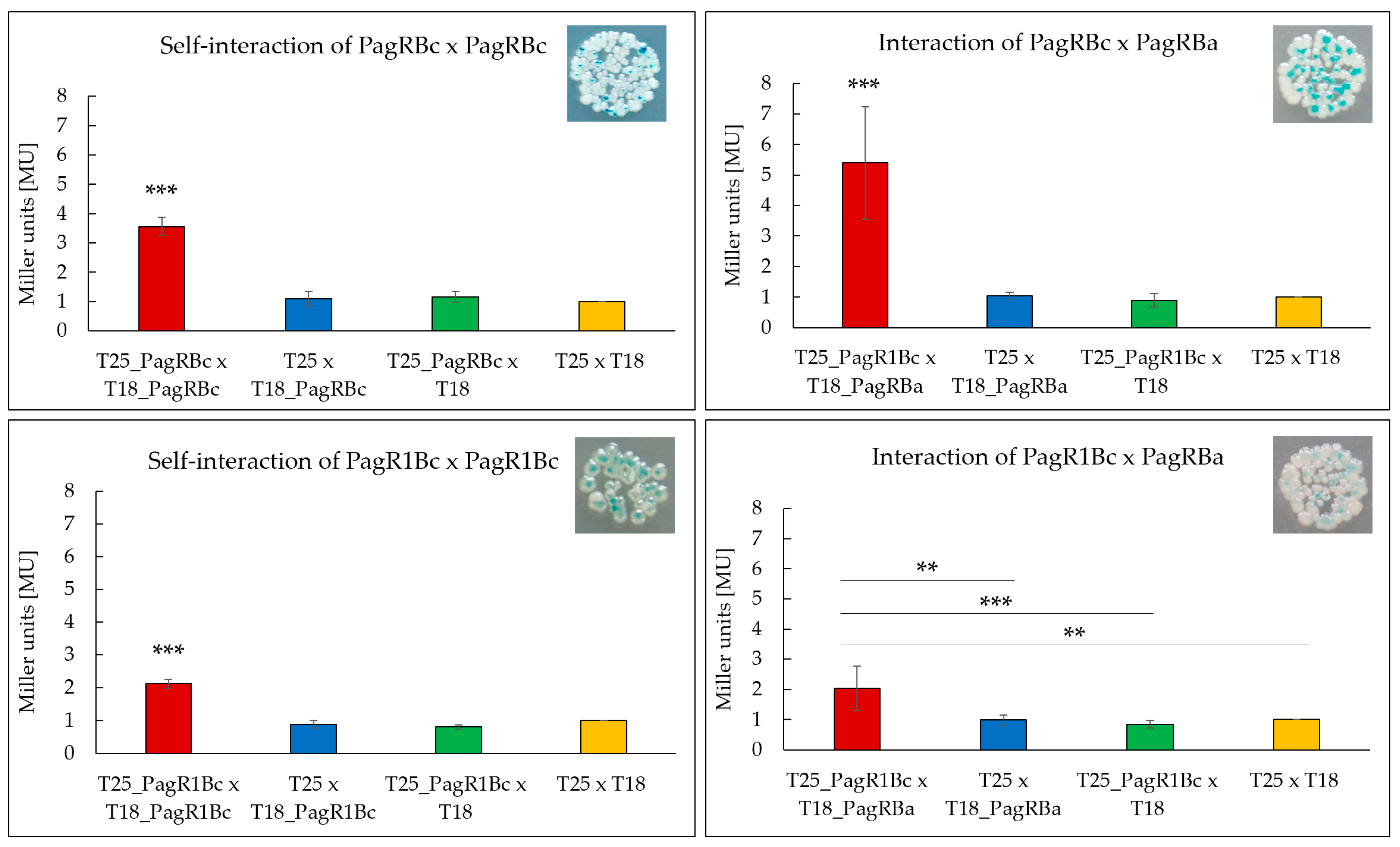 Ijms 23 11479 g004 Ijms 23 11479 g004