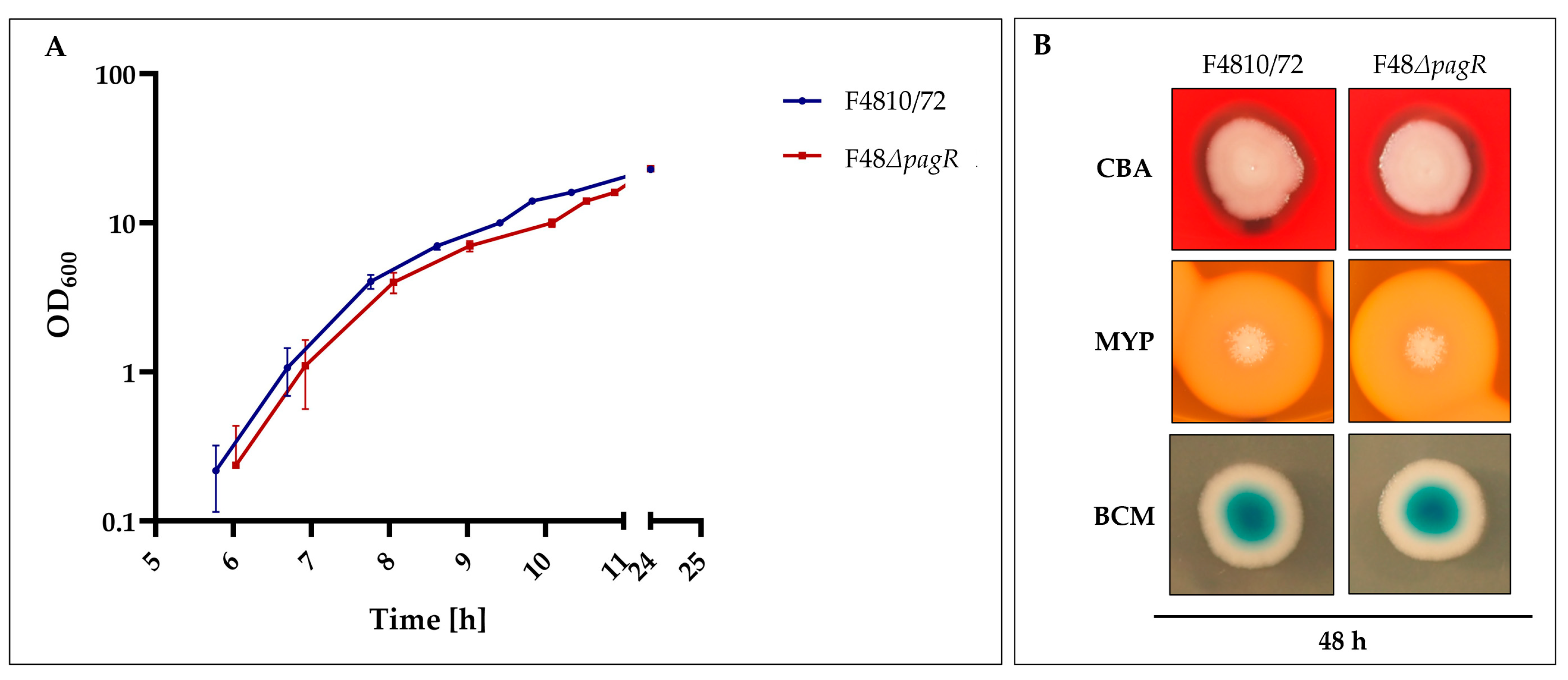 Ijms 23 11479 g005 Ijms 23 11479 g005