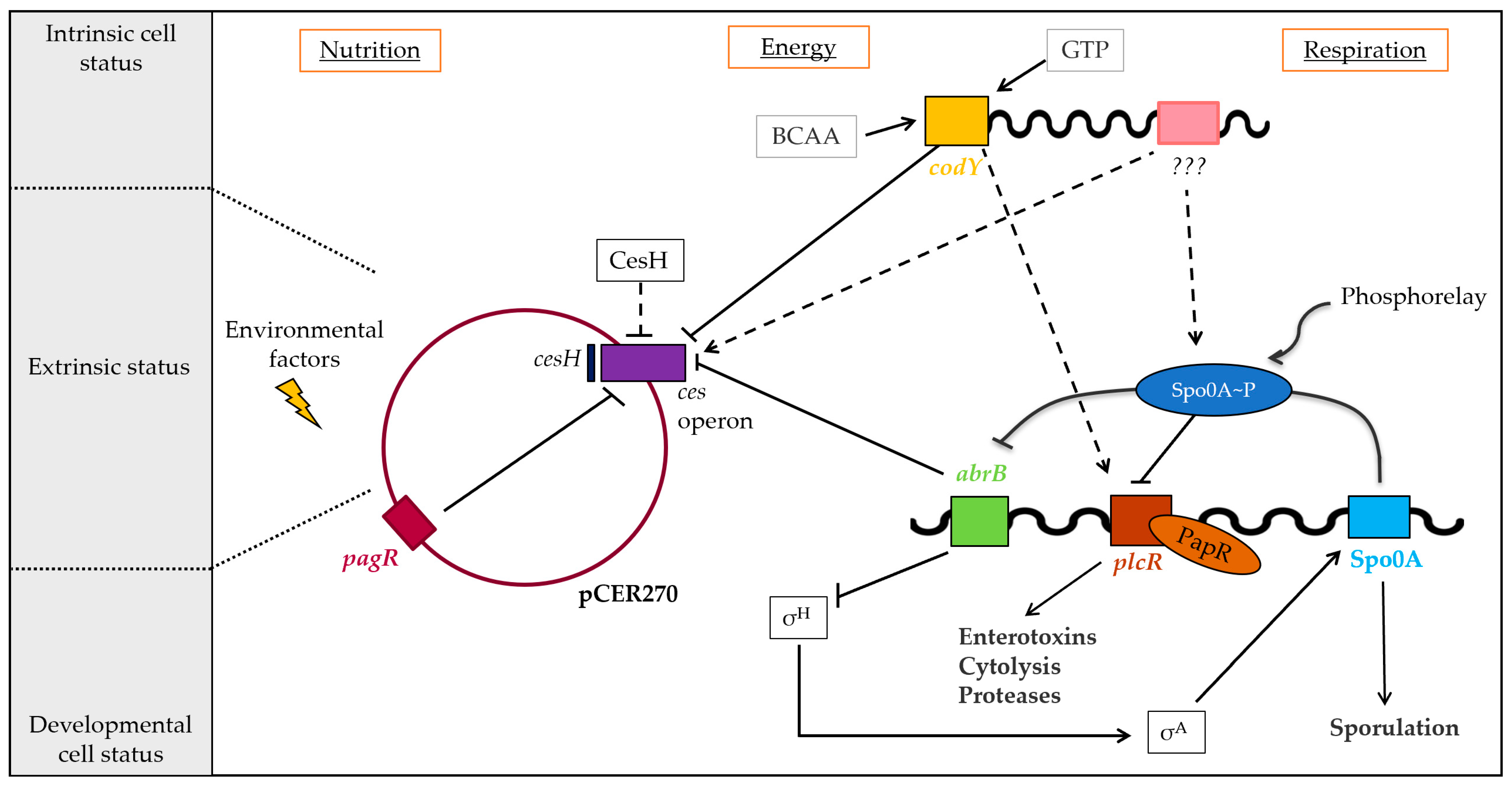 Ijms 23 11479 g007 Ijms 23 11479 g007