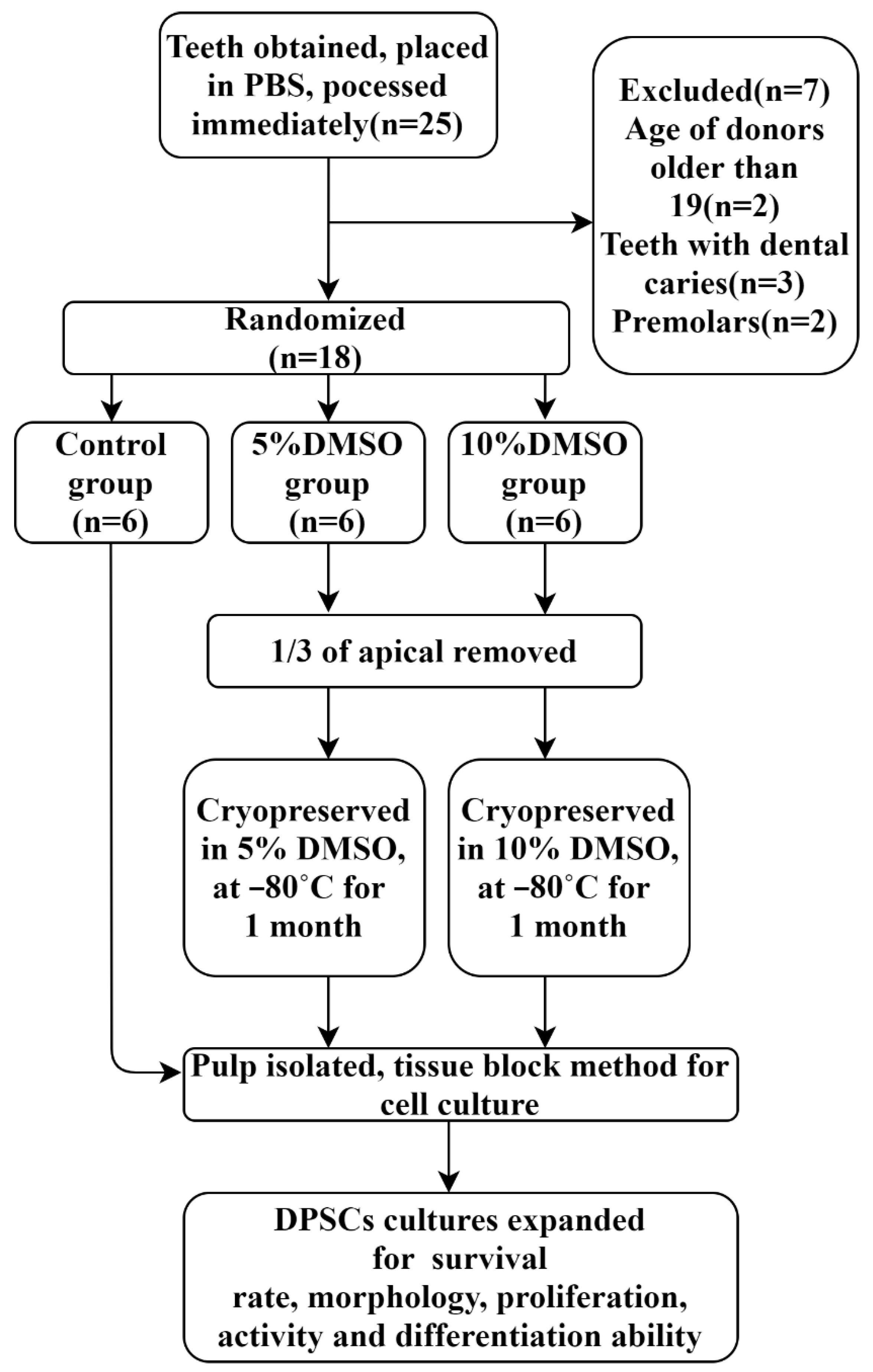 Ijms 23 11485 g010 Ijms 23 11485 g010