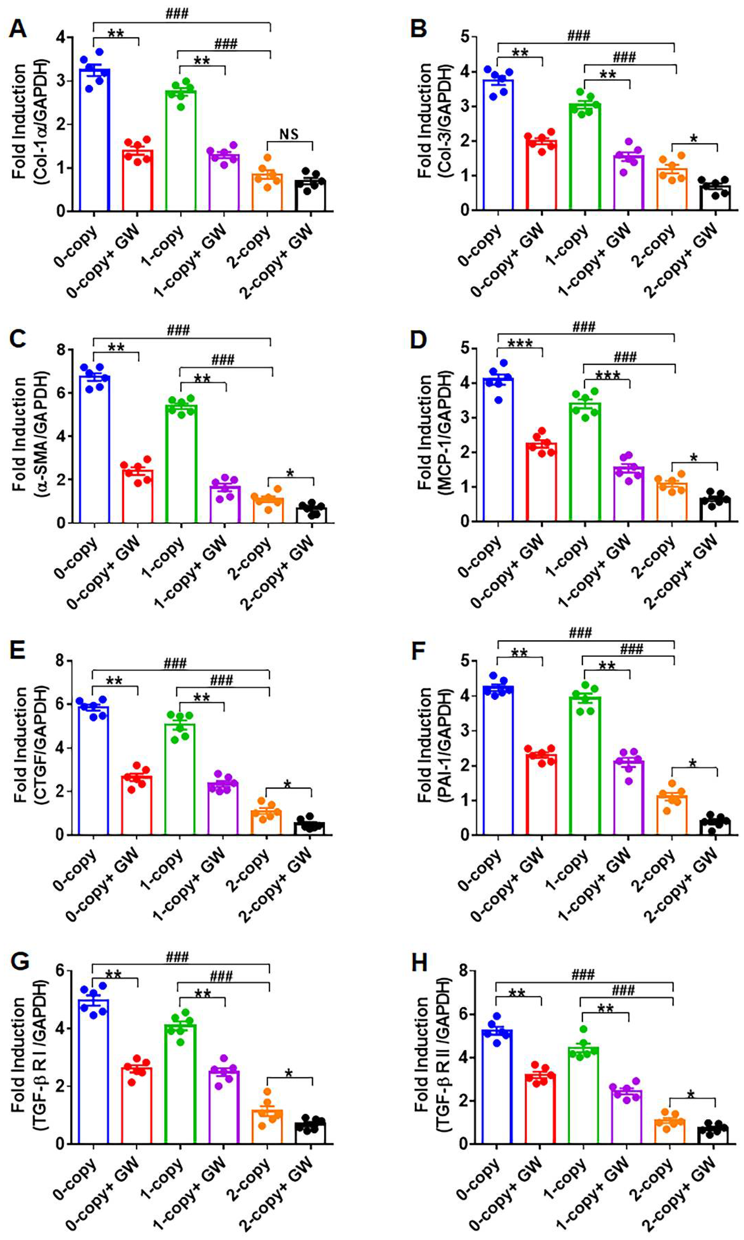 Ijms 23 11487 g001 Ijms 23 11487 g001