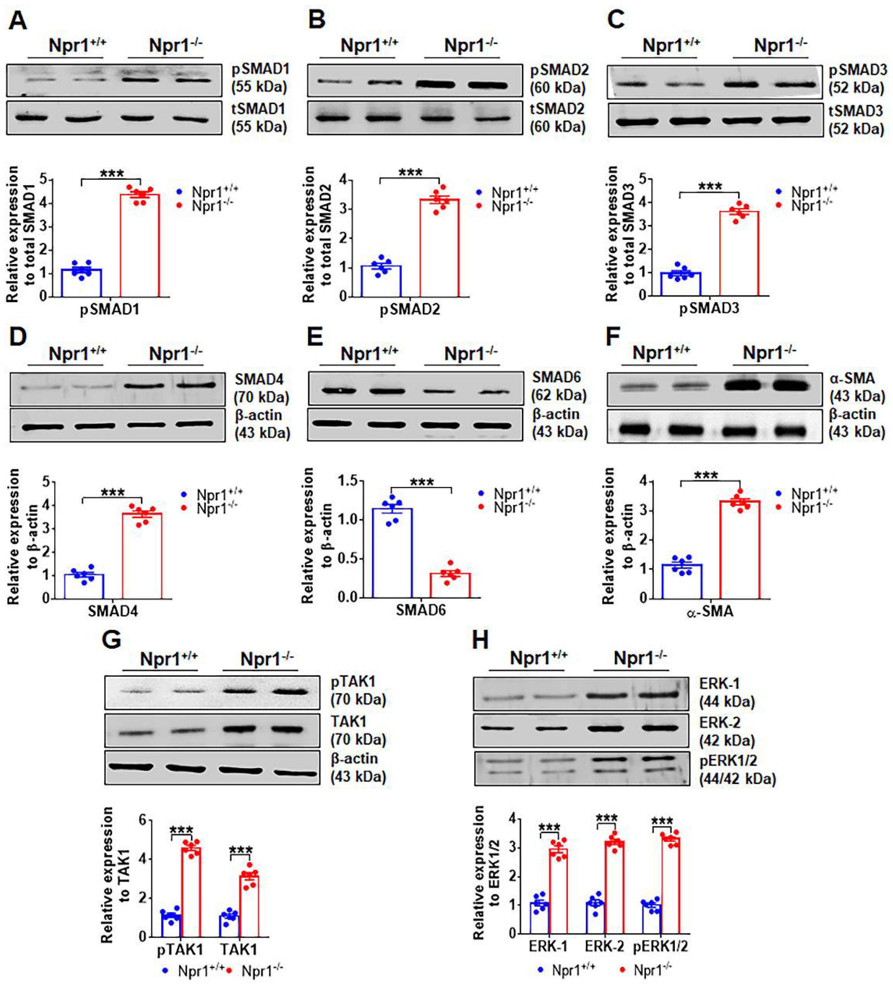 Ijms 23 11487 g002 Ijms 23 11487 g002