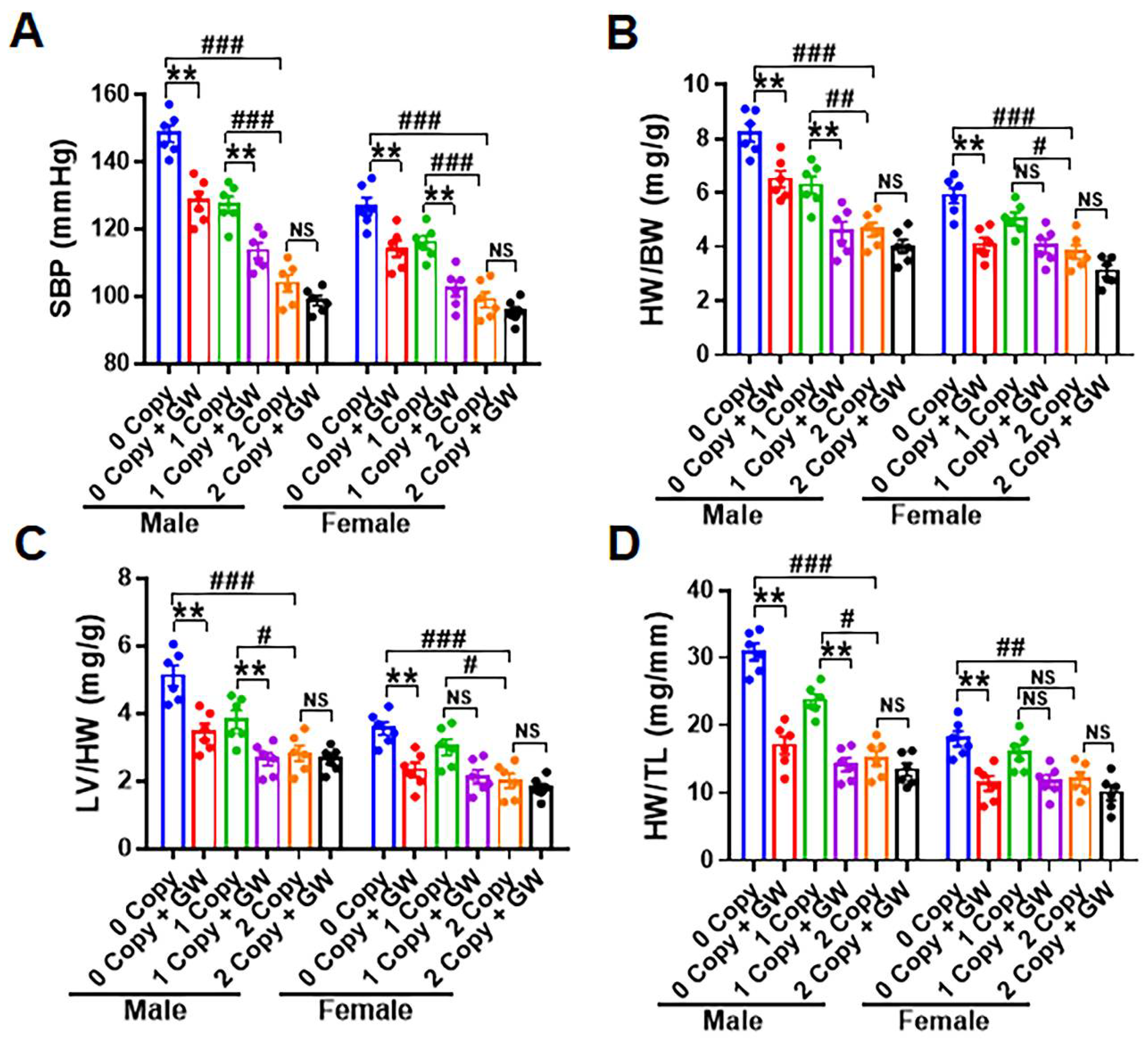 Ijms 23 11487 g006 Ijms 23 11487 g006