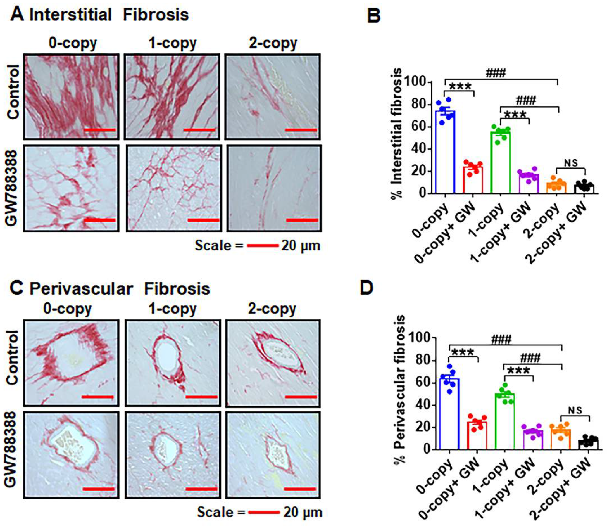 Ijms 23 11487 g007 Ijms 23 11487 g007