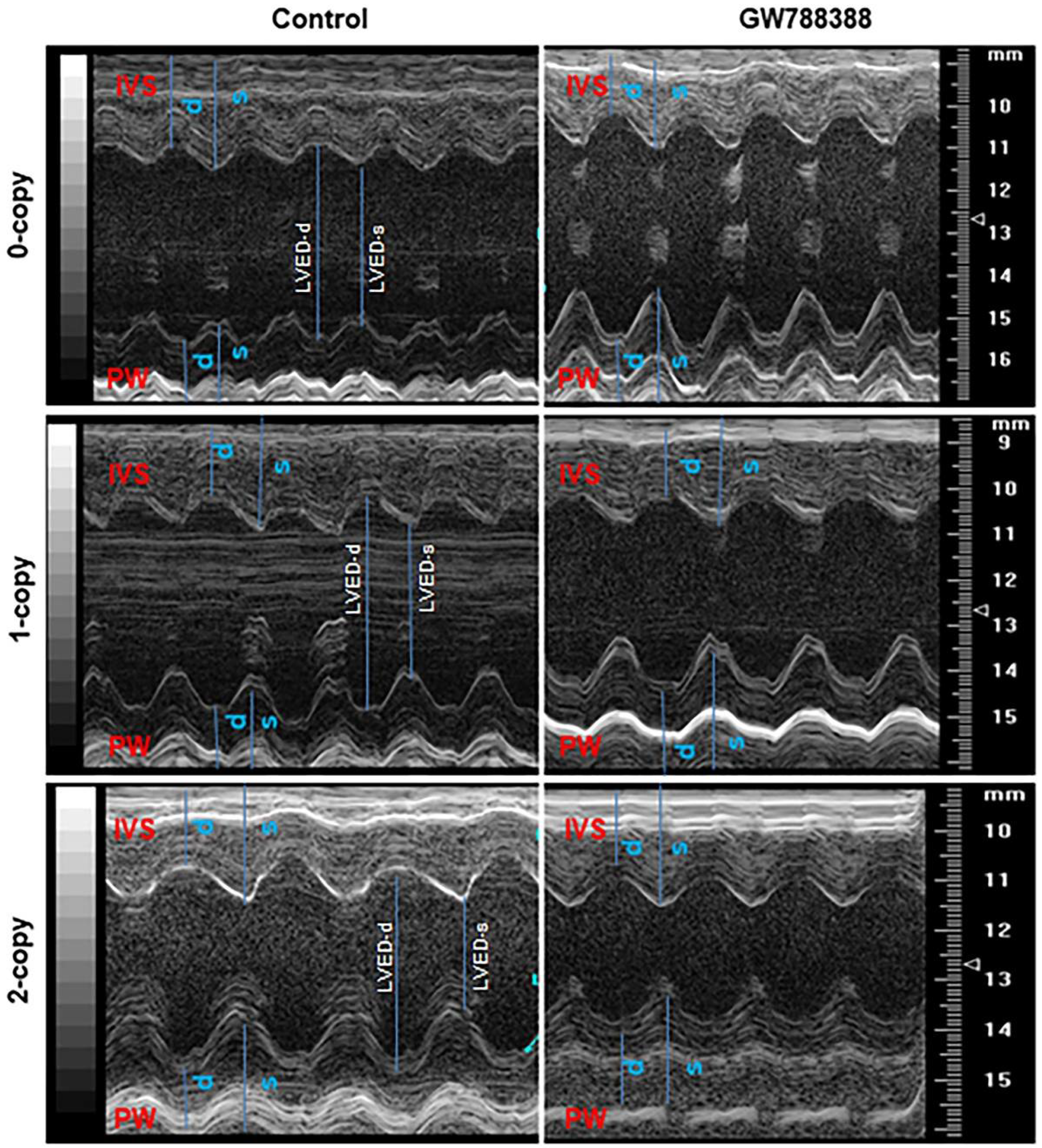 Ijms 23 11487 g008 Ijms 23 11487 g008