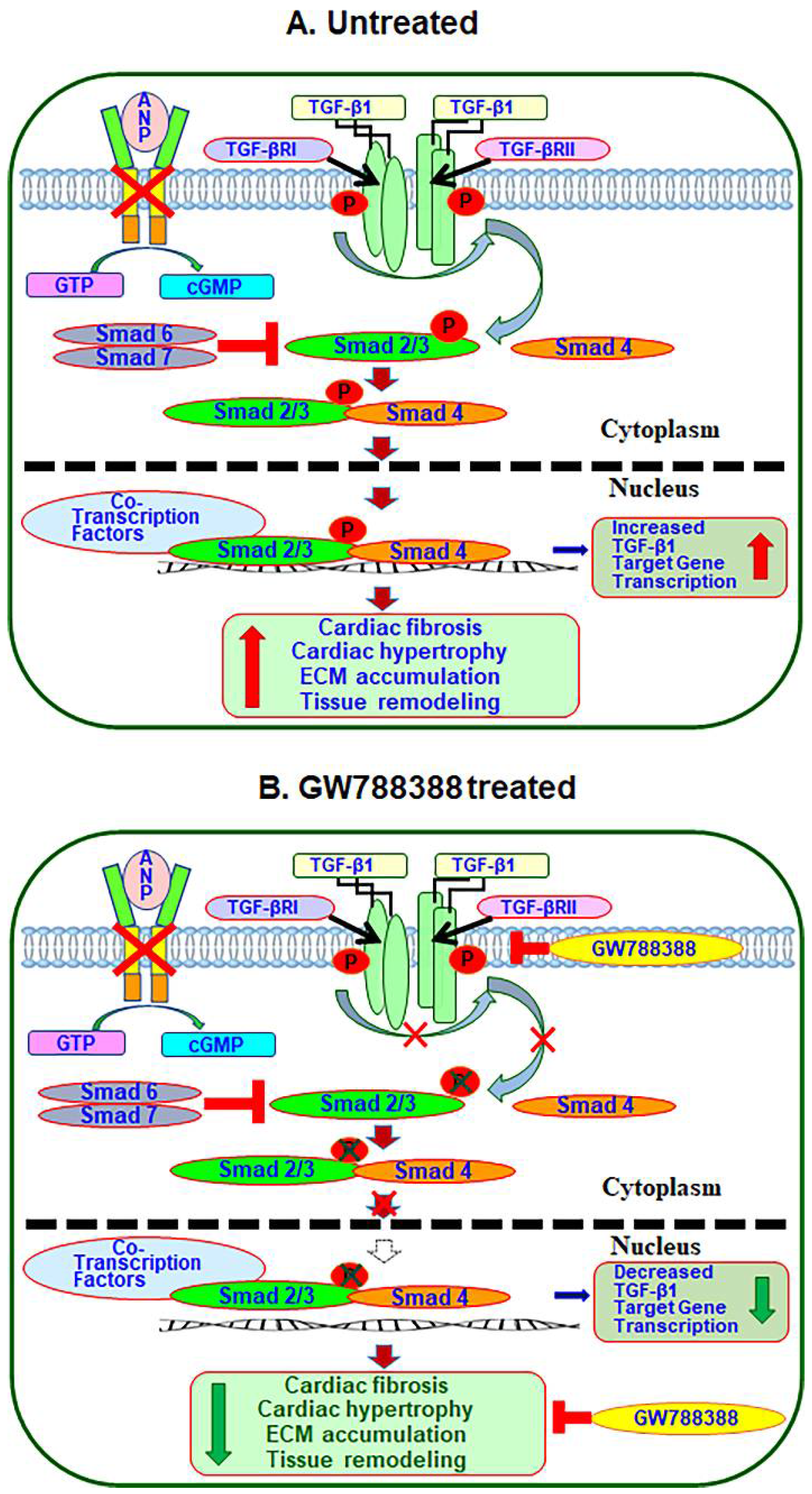 Ijms 23 11487 g010 Ijms 23 11487 g010