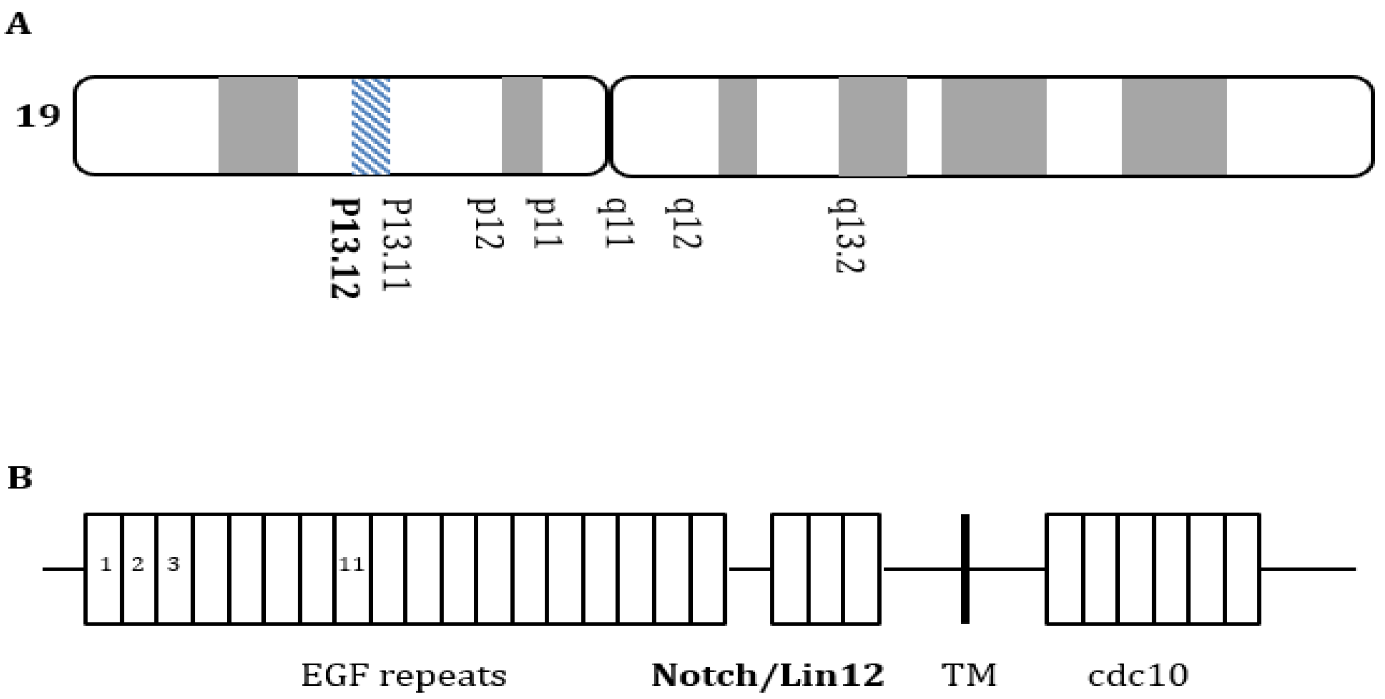 Ijms 23 11506 g001 Ijms 23 11506 g001