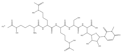 Ijms 23 11507 i001 Ijms 23 11507 i001