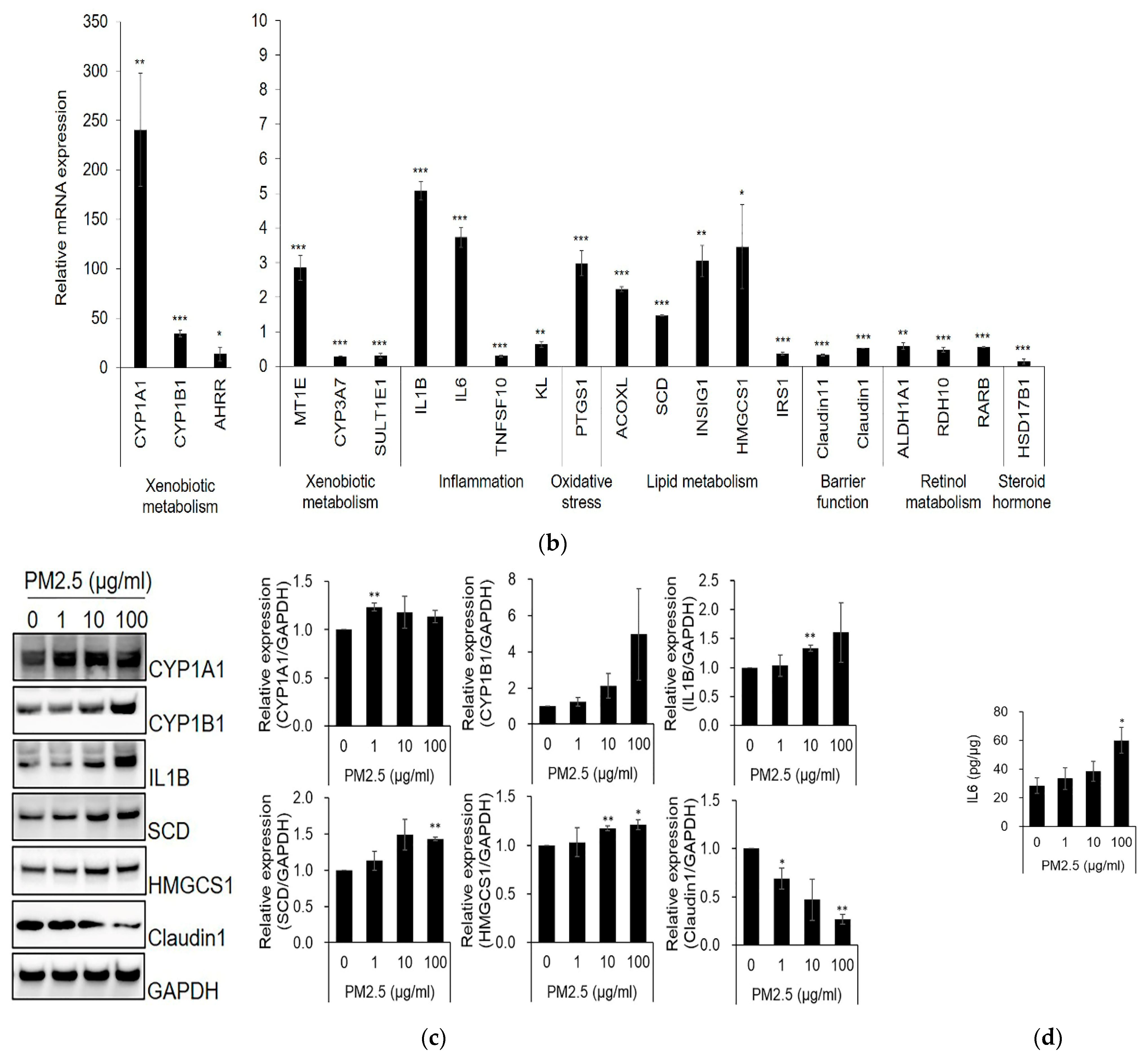 Ijms 23 11534 g001b Ijms 23 11534 g001b