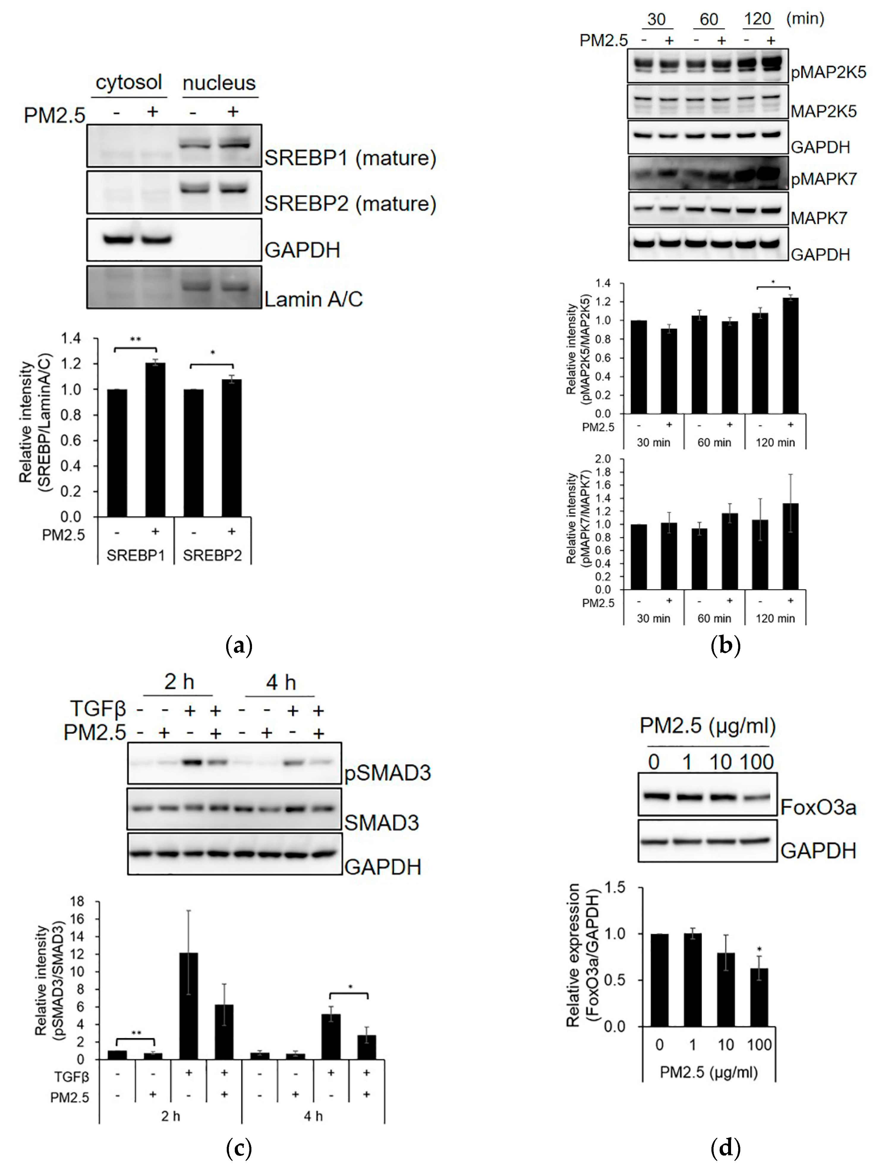 Ijms 23 11534 g002 Ijms 23 11534 g002