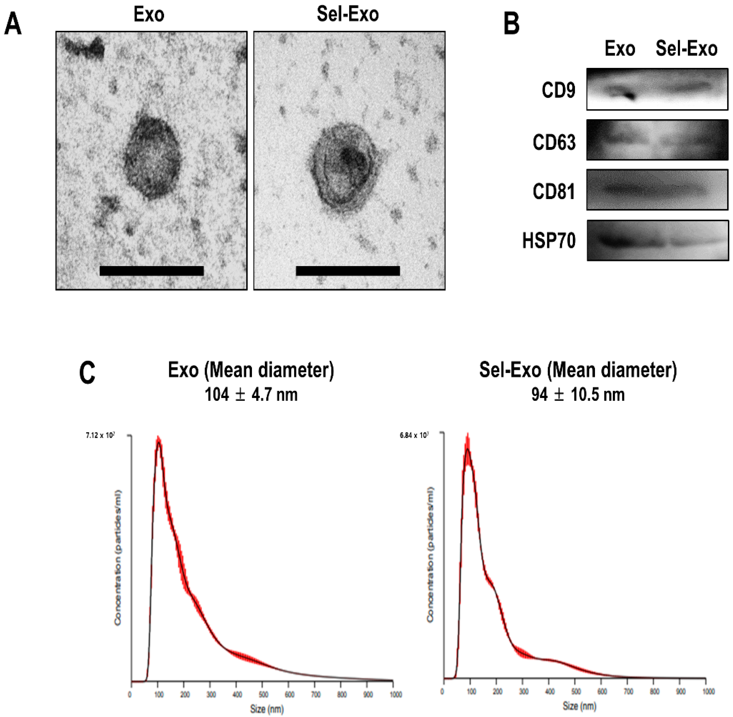 Ijms 23 11543 g002 Ijms 23 11543 g002