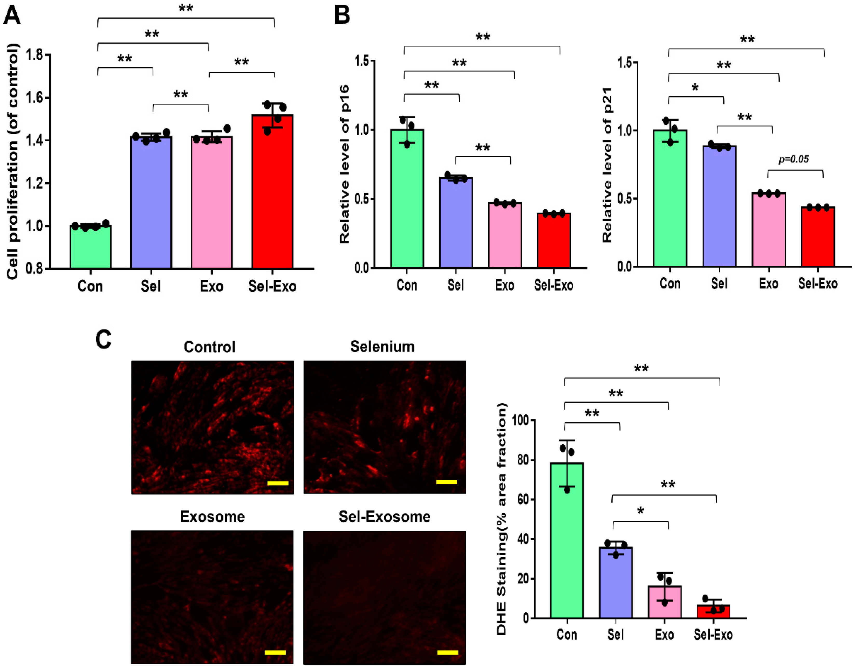 Ijms 23 11543 g003 Ijms 23 11543 g003
